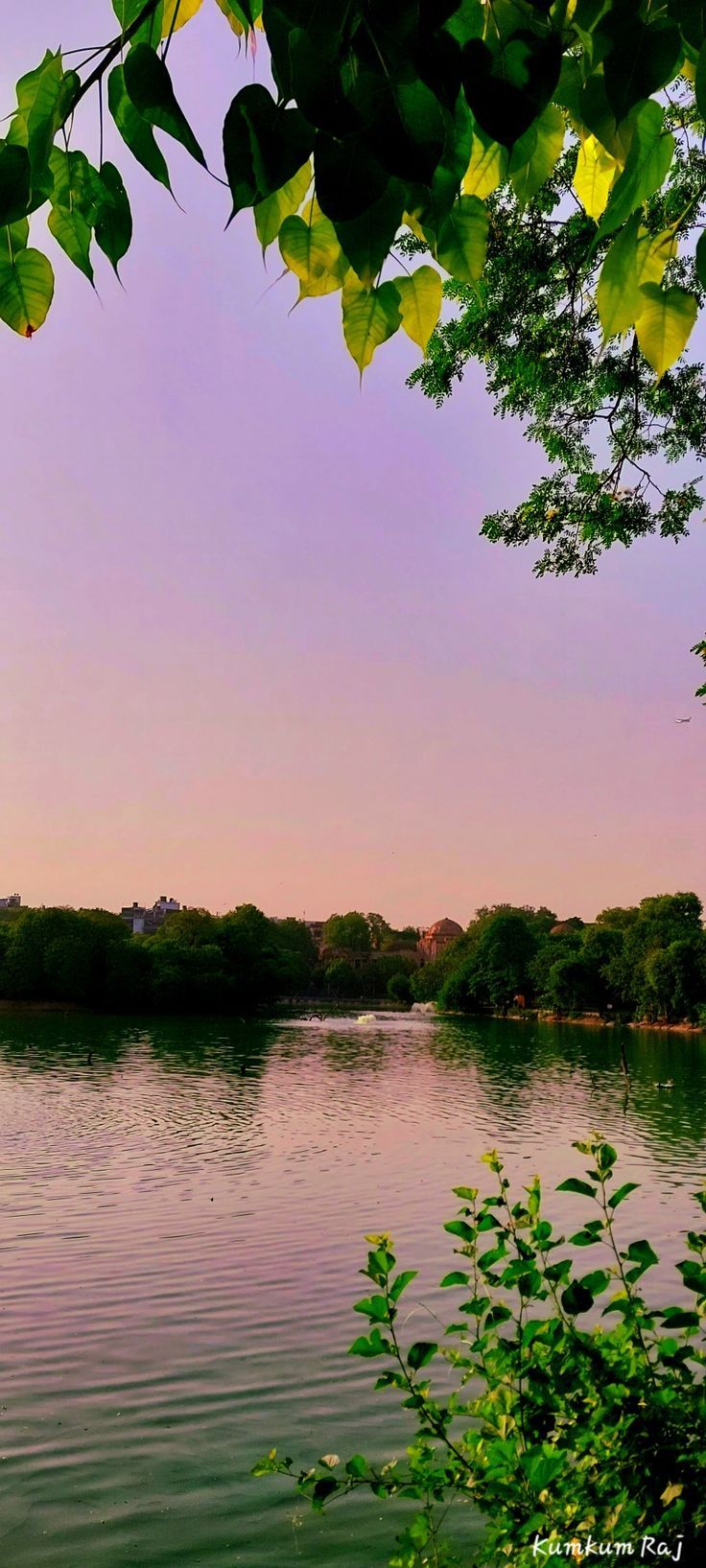 736x1635 Aesthetic wallpaper. lake. Beautiful lake and greenry