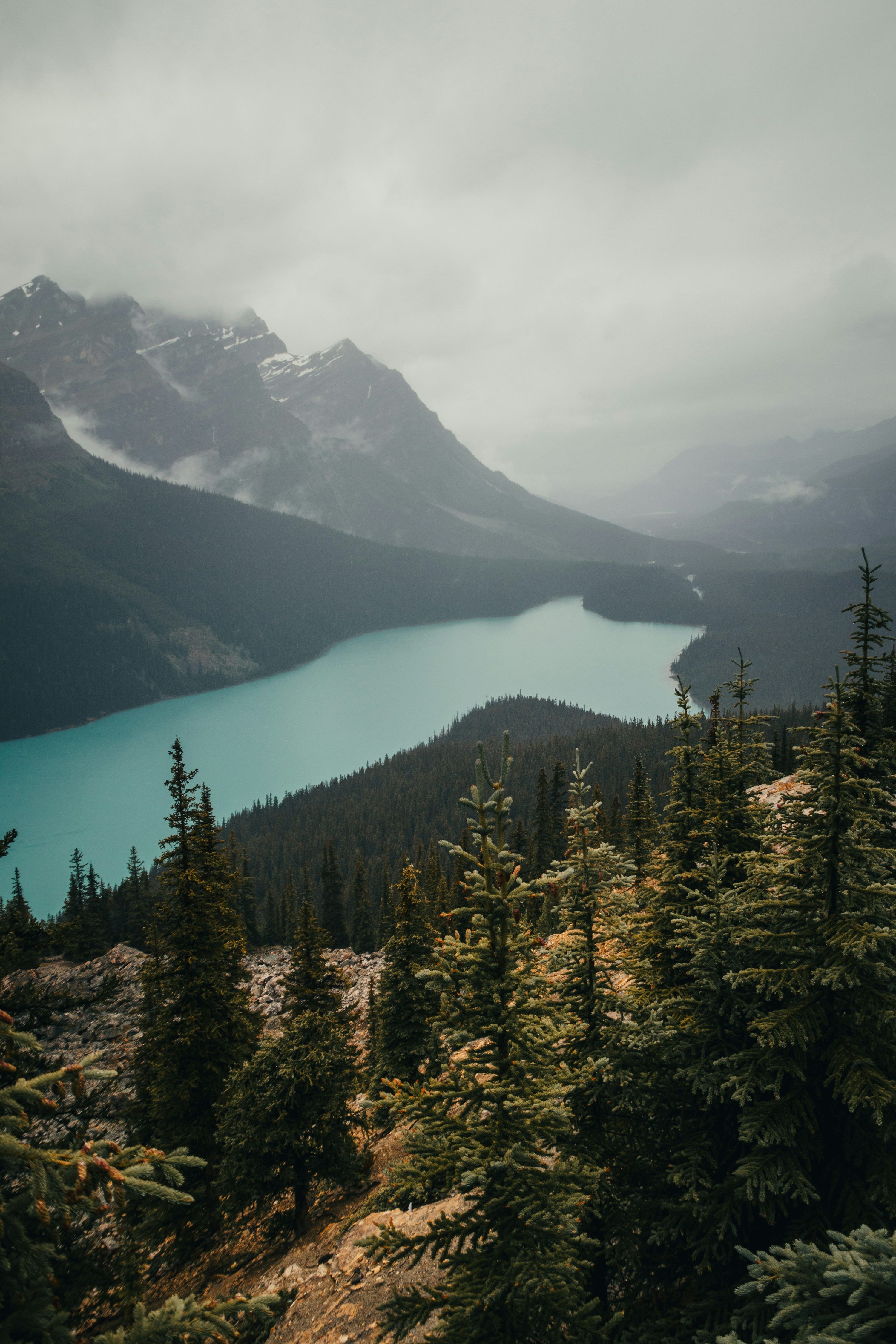 3000x4500 Turquoise lake nestled between misty mountains and pine forest photo