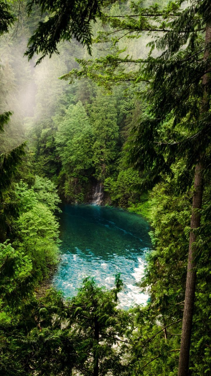 720x1280 Forest Lake Landscape by Jonathan Meyer. Best camping spots in california, Best camping spots in idaho, Best camping spots in oregon