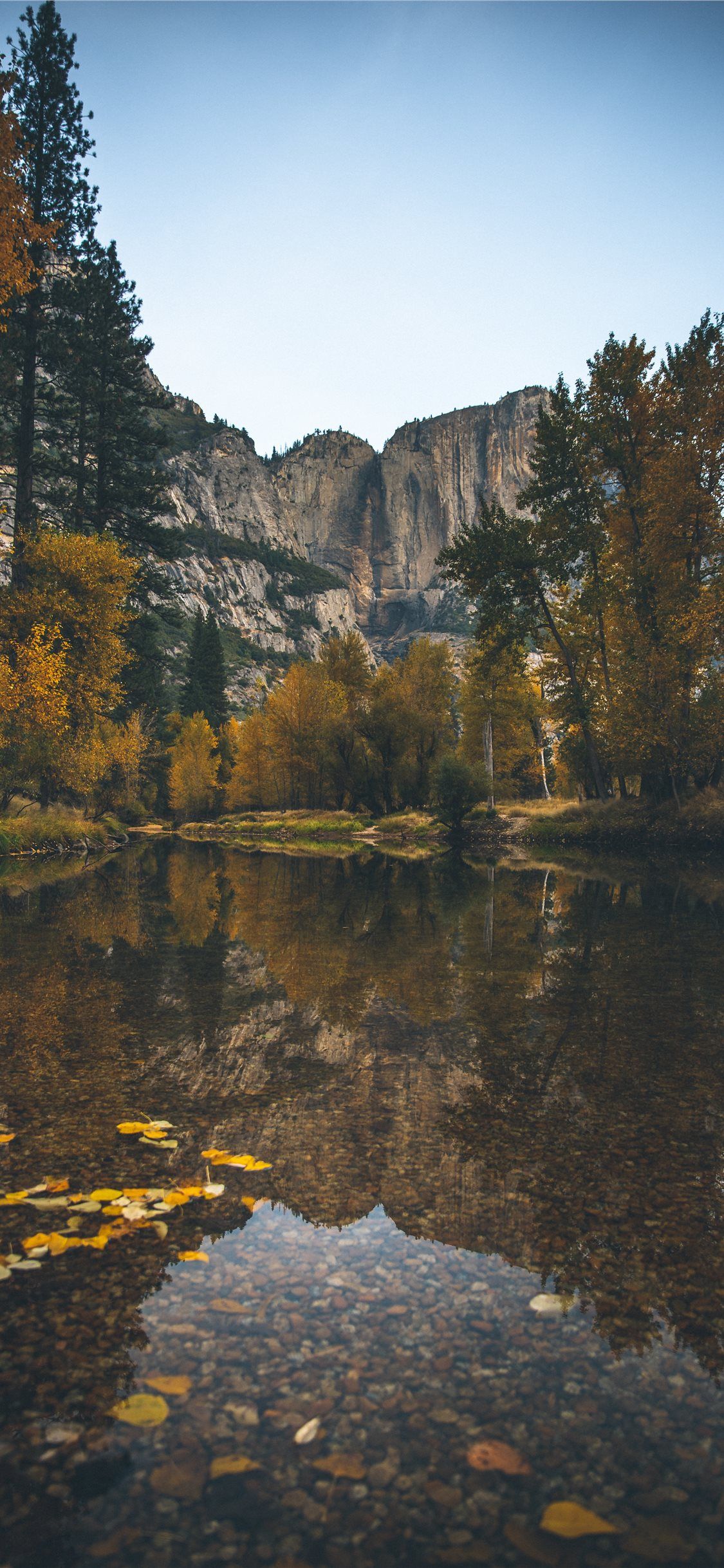 1125x2436 landscape photography of lake surrounded with tree. iPhone X Wallpaper Free Download