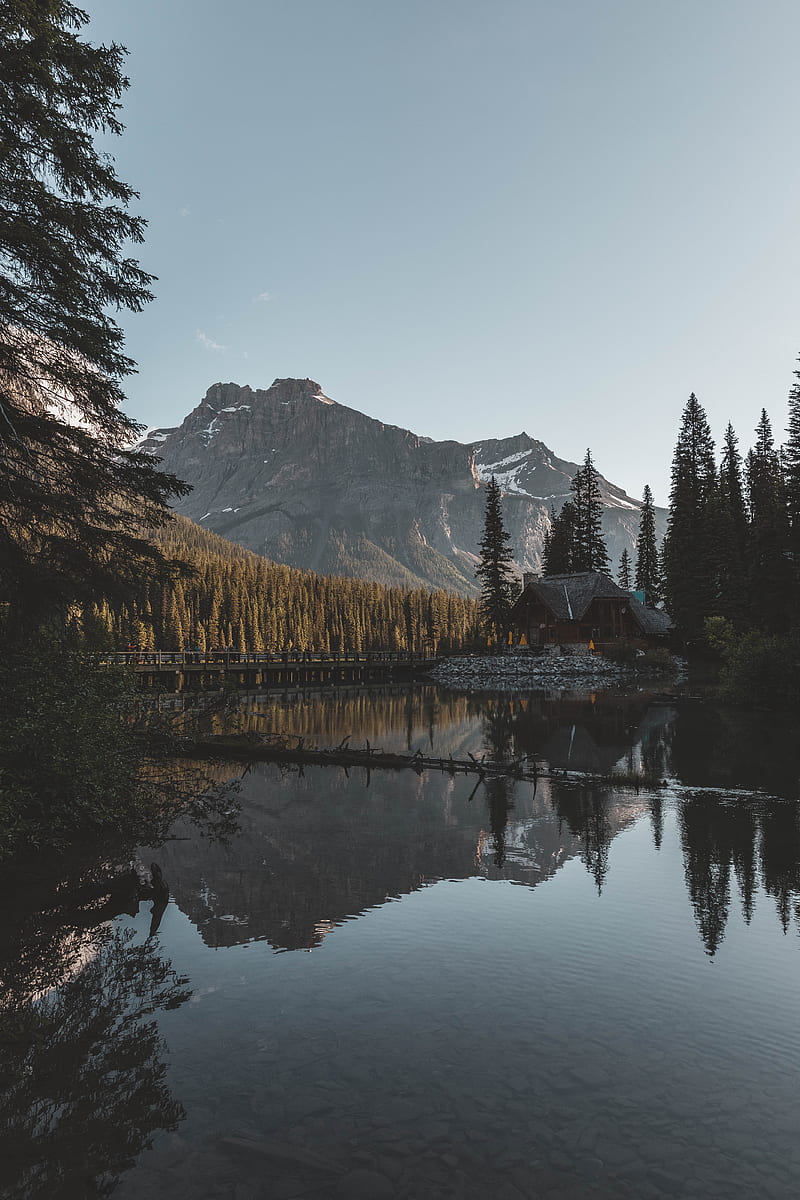 800x1200 Lake, mountains, house, forest, shore, HD phone wallpaper