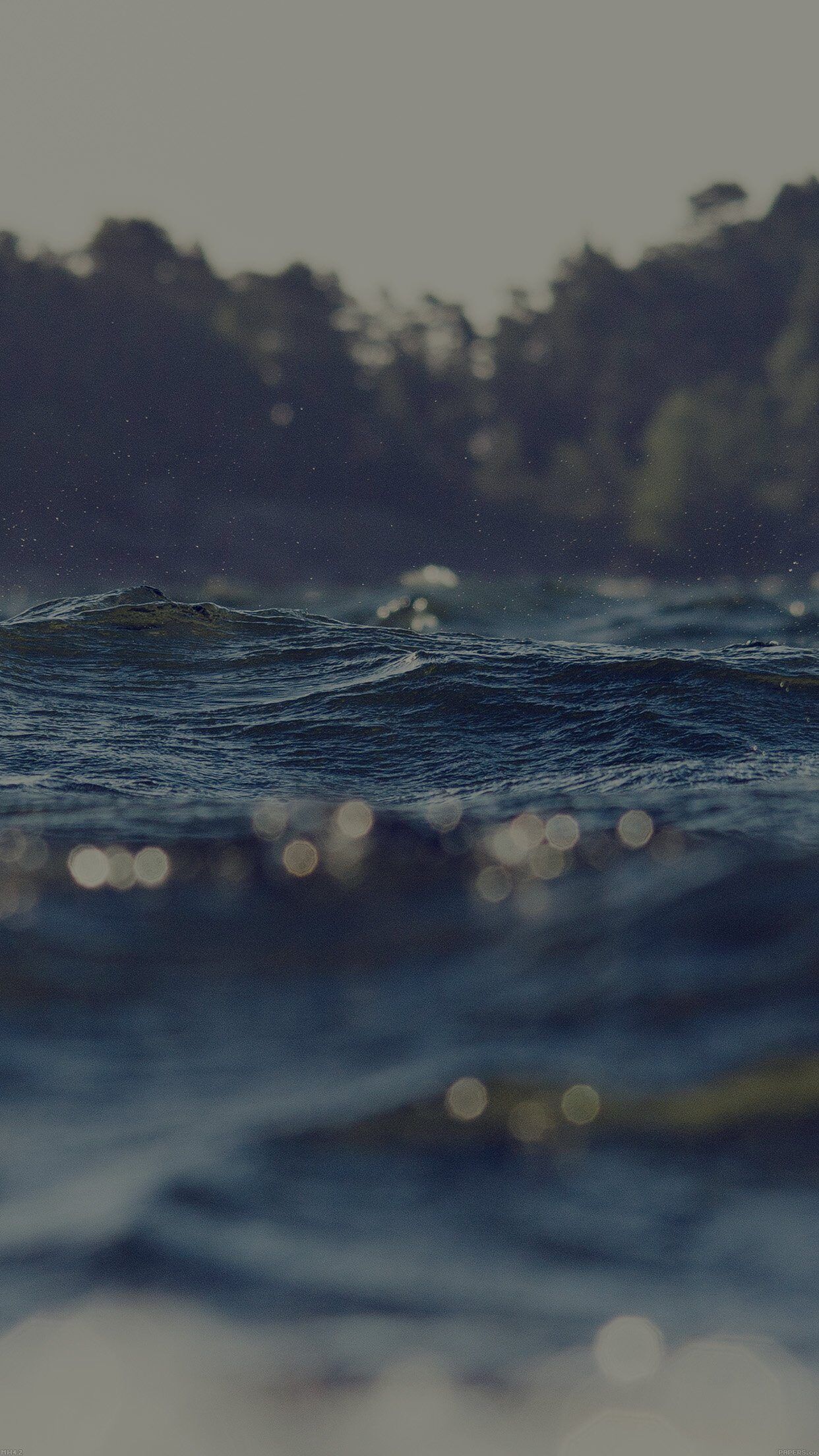 1242x2208 Water Drowning Lake Green Nature iPhone 6 Wallpaper