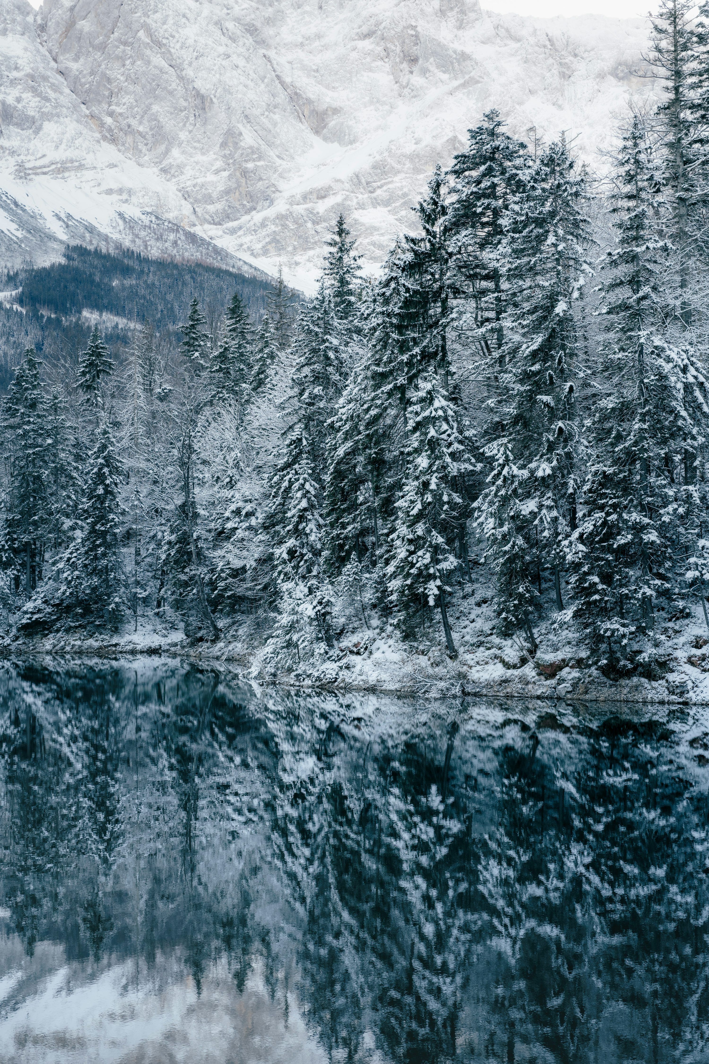 3000x4498 A lake surrounded by trees covered in snow photo