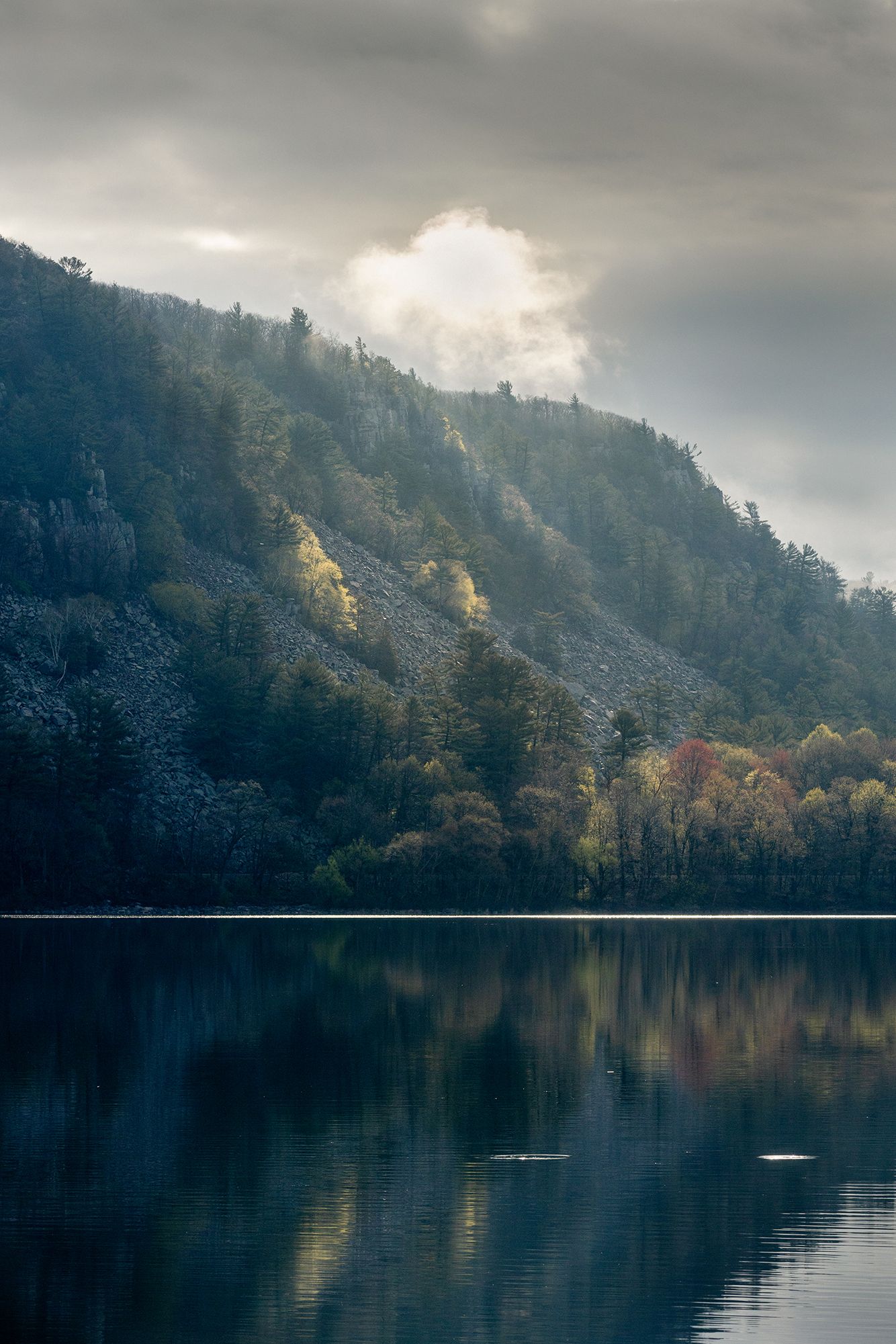 1334x2001 Devil's Lake State Park Creek Photography