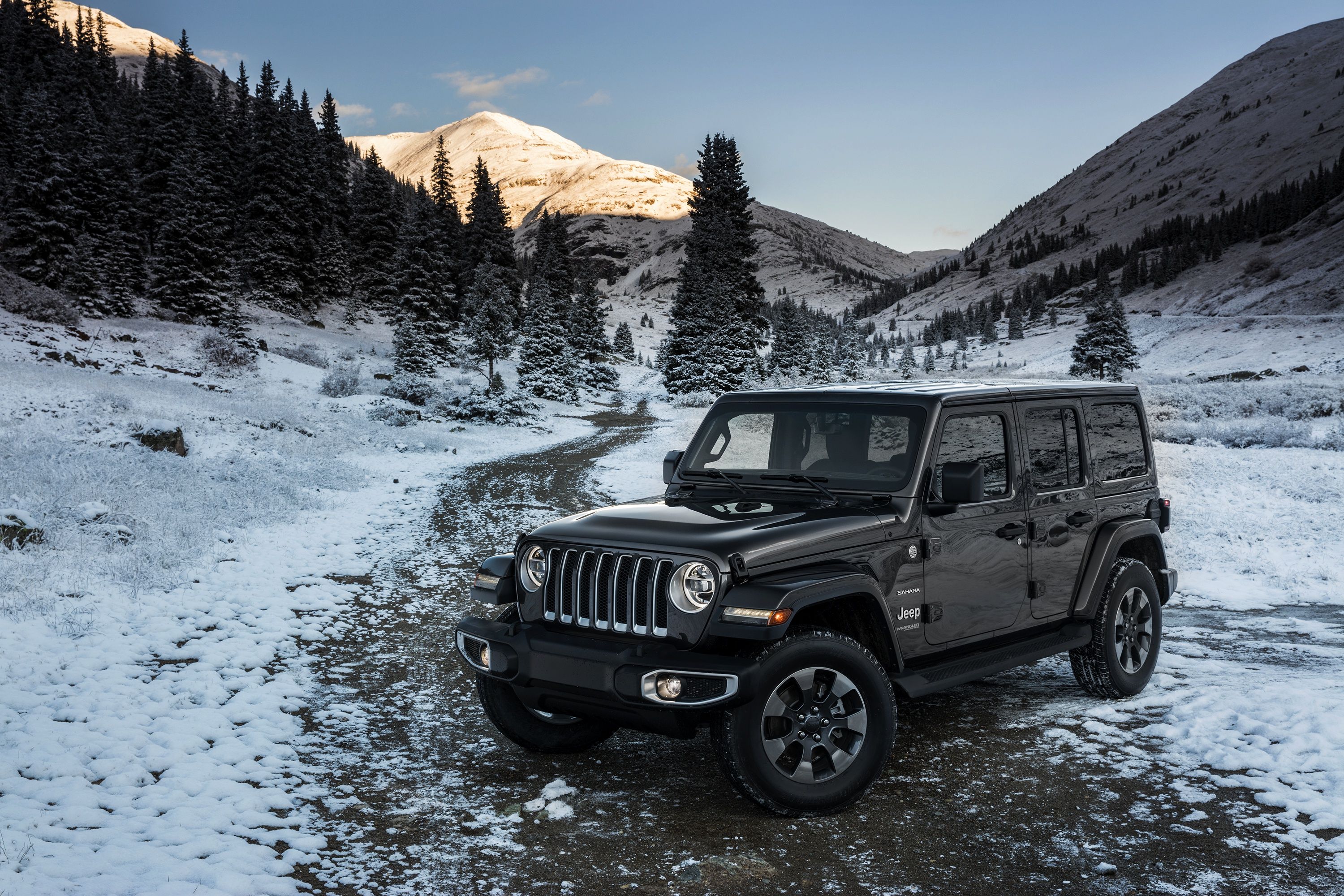 3000x2000 Download Jeep Wrangler Sahara Vehicle Jeep Wrangler HD Wallpaperx2000
