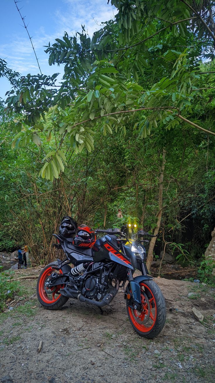 736x1308 Duke 250 gen 3