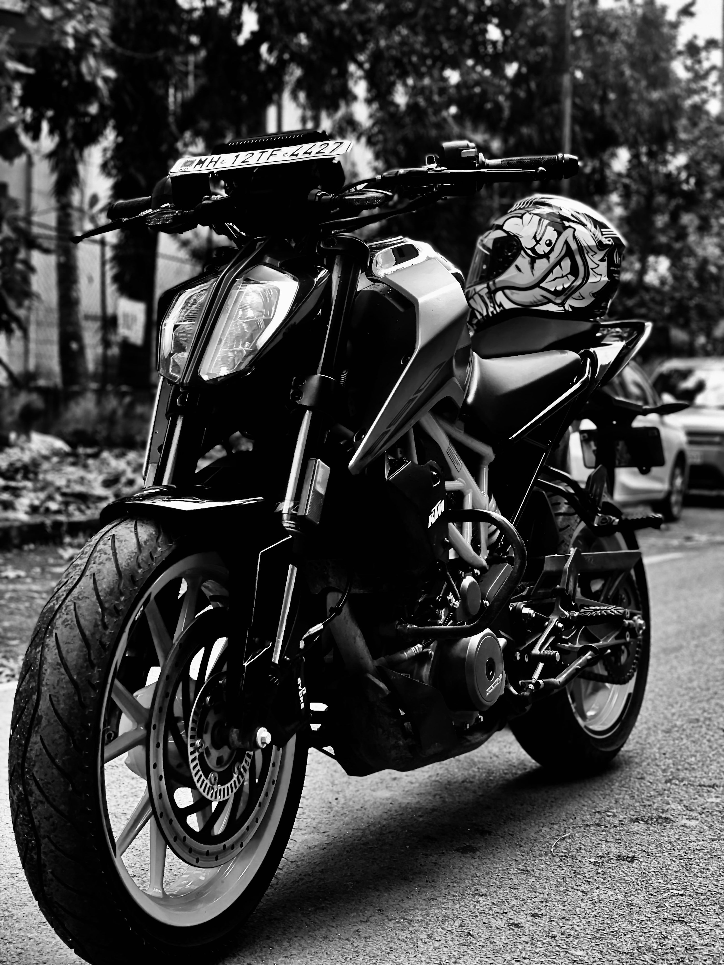 3000x4000 Duke 390 Picture. Download Free Image
