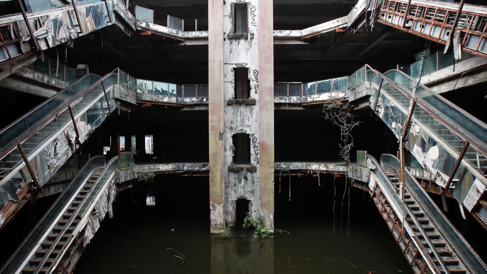 1600x900 Thousands of Fish Rescued From Abandoned and Overgrown Mall