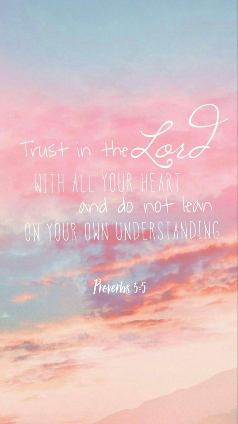 800x1422 Bible Verse, christian, god, jesus, pink, quote, scripture, trust, women, HD phone wallpaper