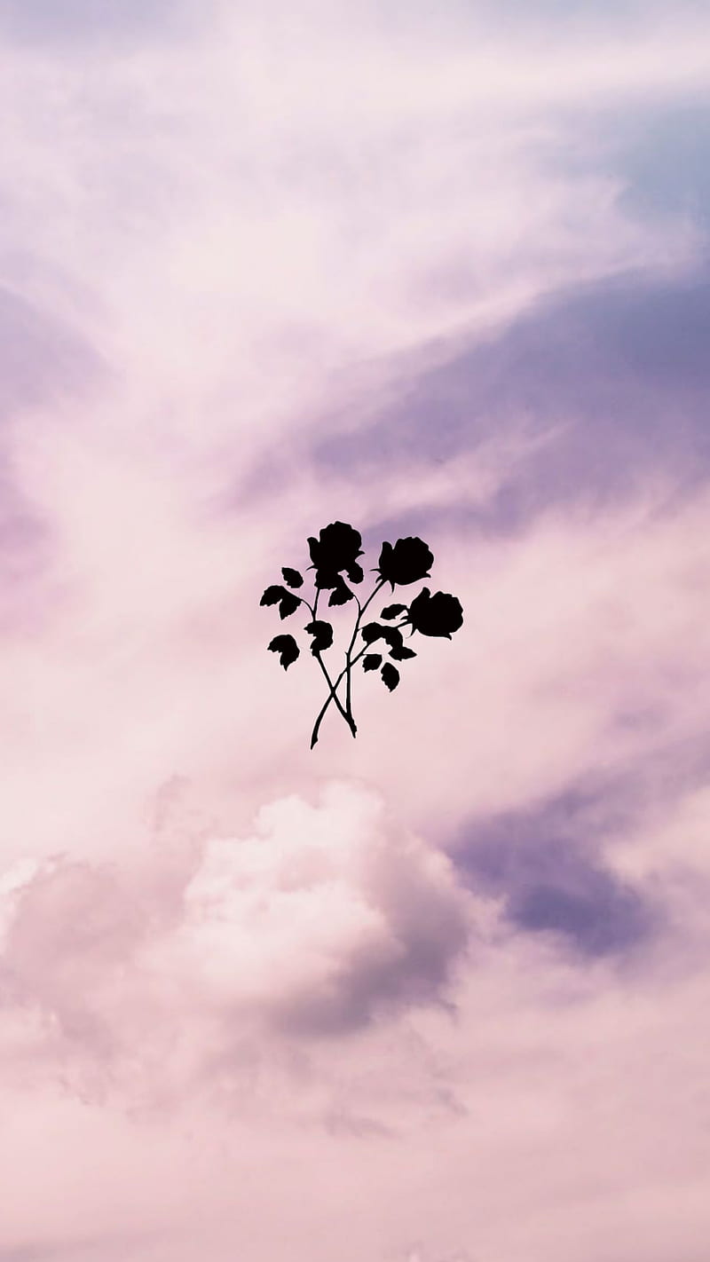 800x1422 Aesthetic, black, cloud, clouds, pink, HD phone wallpaper