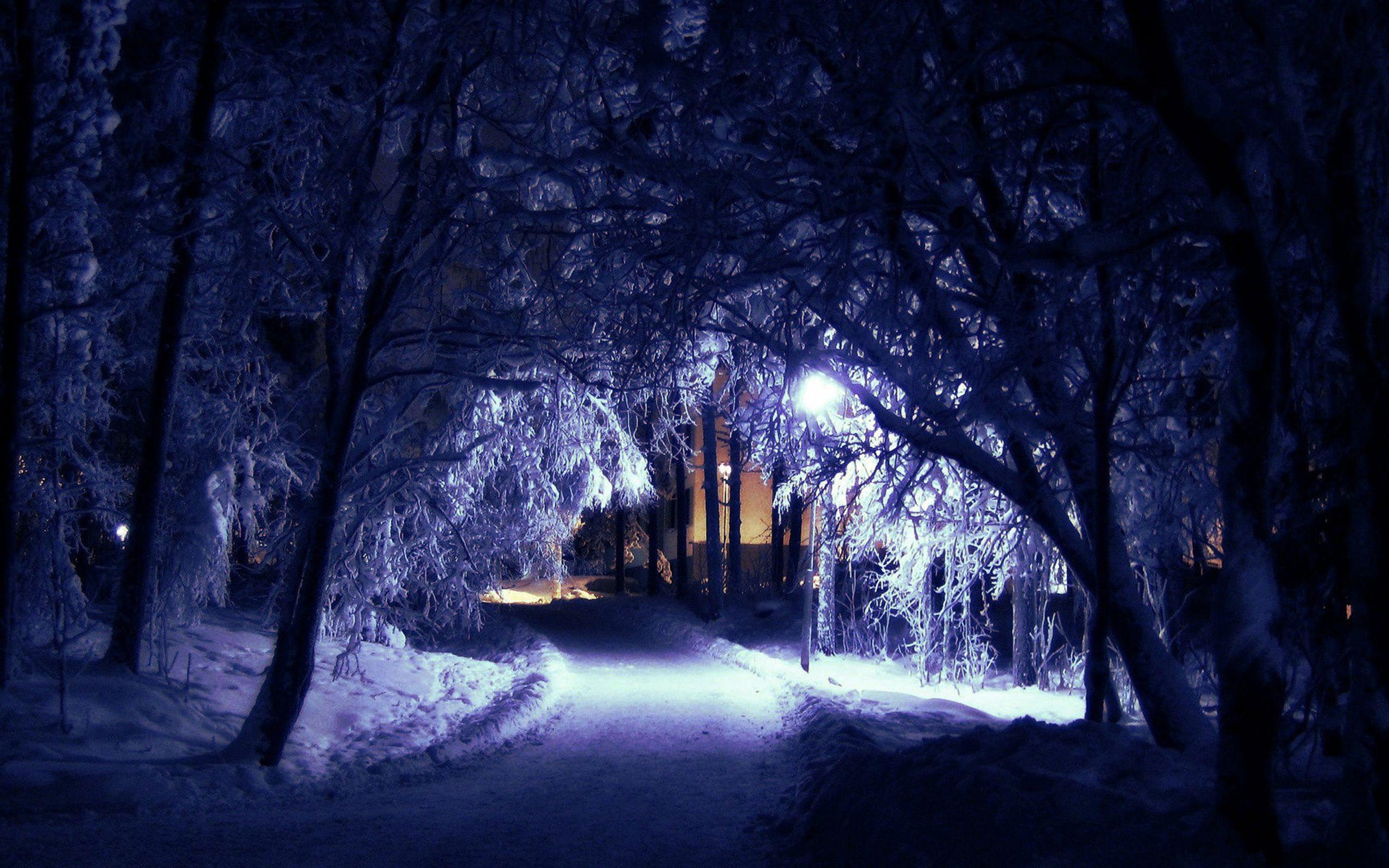 Snowy Night Wallpapers - Top Free Snowy Night Backgrounds - Wallpaperaccess