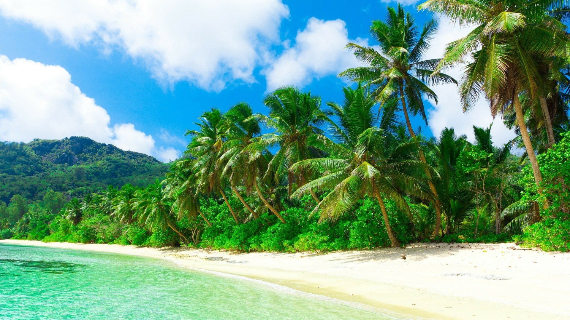 1920x1080 Tropical Paradise: 4K Ultra HD Island with Lush Palm Trees and Crystal Clear Watersx2160