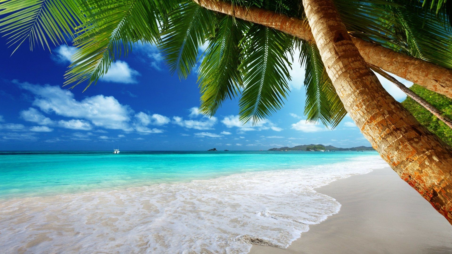 1920x1080 4K Ultra HD Tropical Seascape