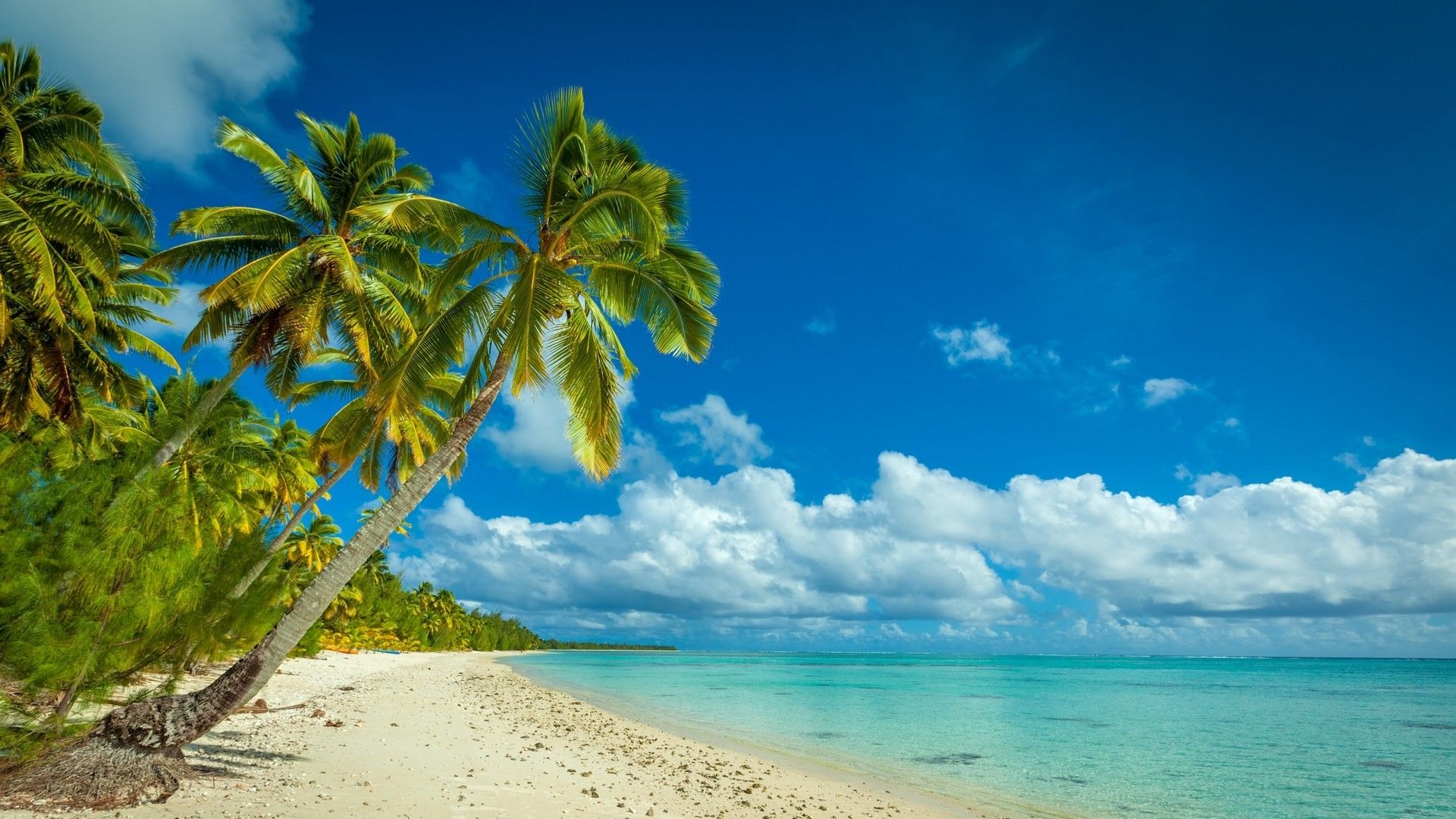 1920x1080 nature, Landscape, Beach, Sea, Island, Palm Trees, Tropical, Clouds, White, Sand, Summer Wallpaper HD / Desktop and Mobile Background