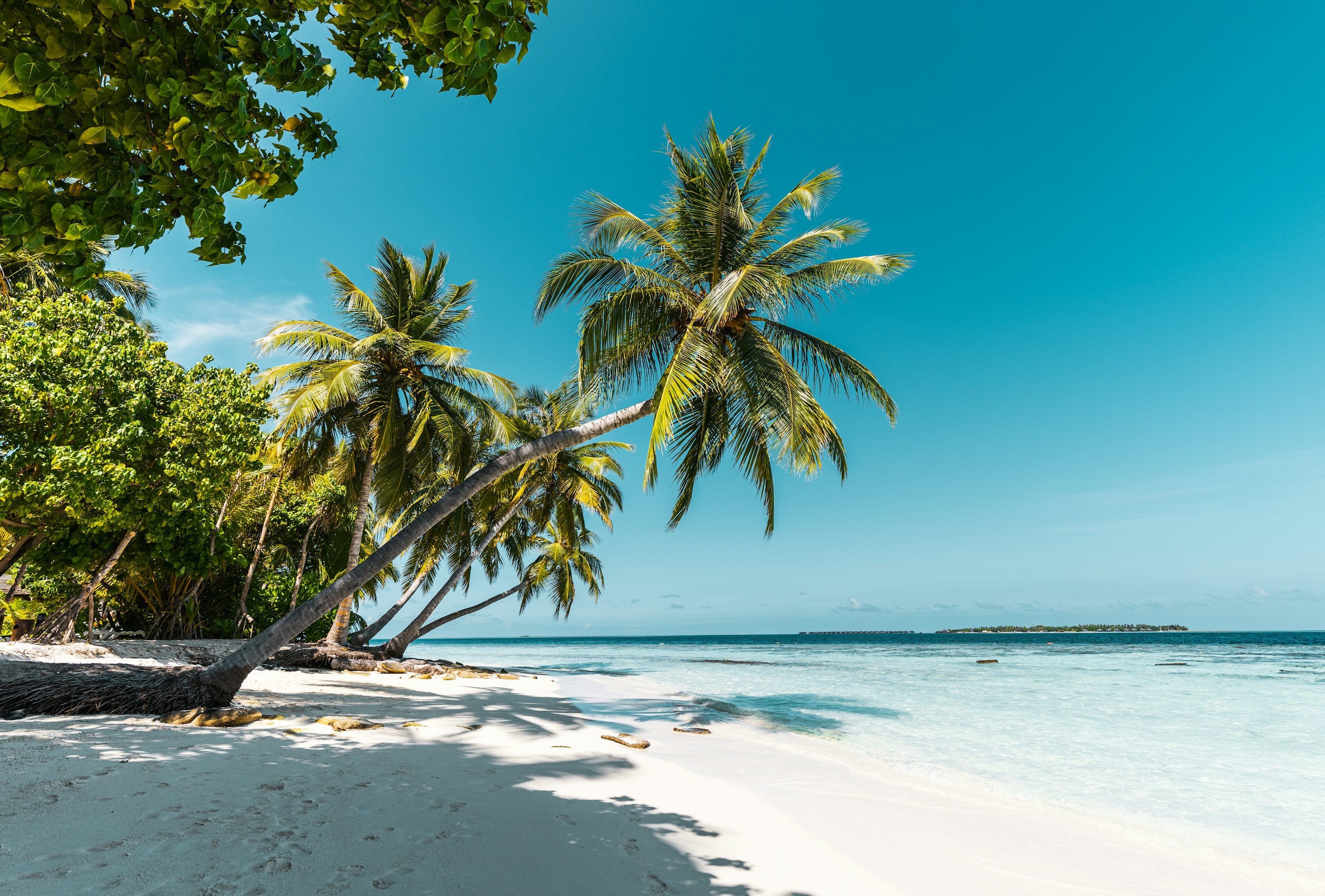 3000x2029 Tropical Beach Picture. Download Free Image