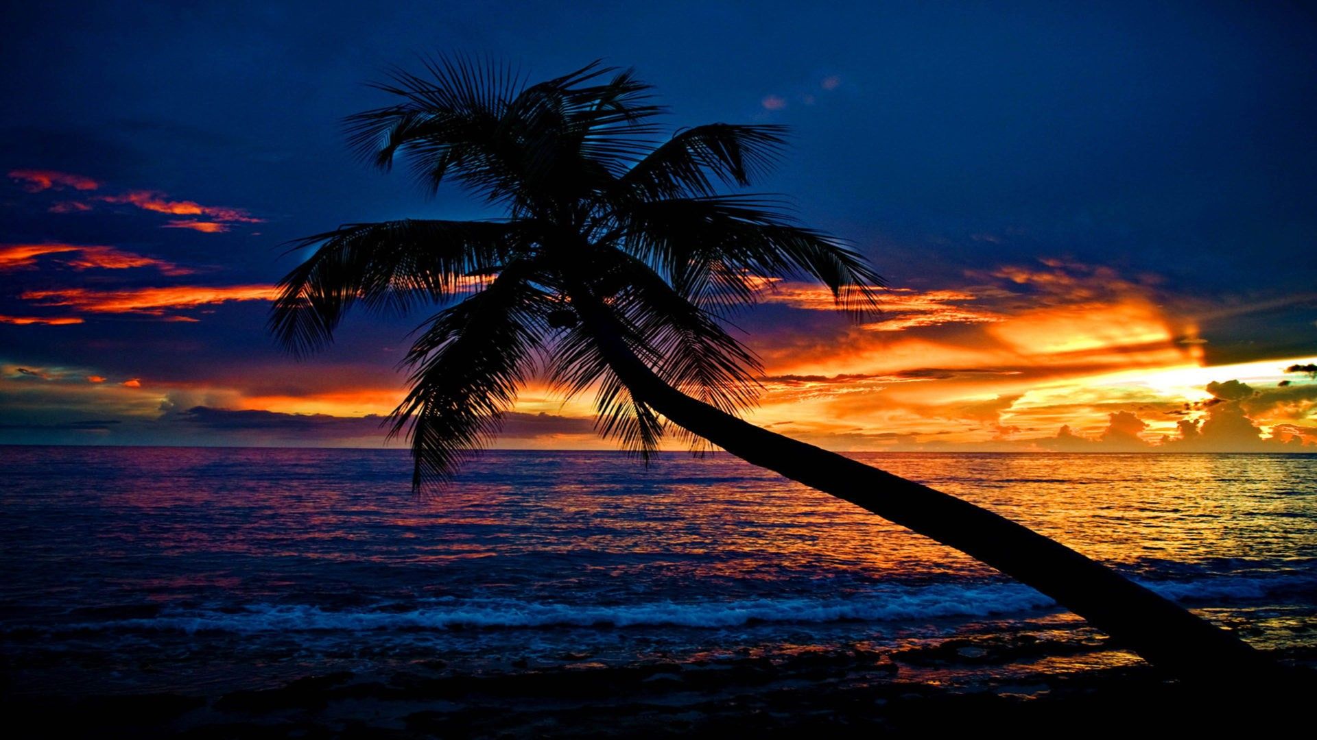 1920x1080 Tropical Sunset Beach Slanting Palm Tree Ocean Waves Sky Clouds Silhouette Background HD Nature Wallpaper