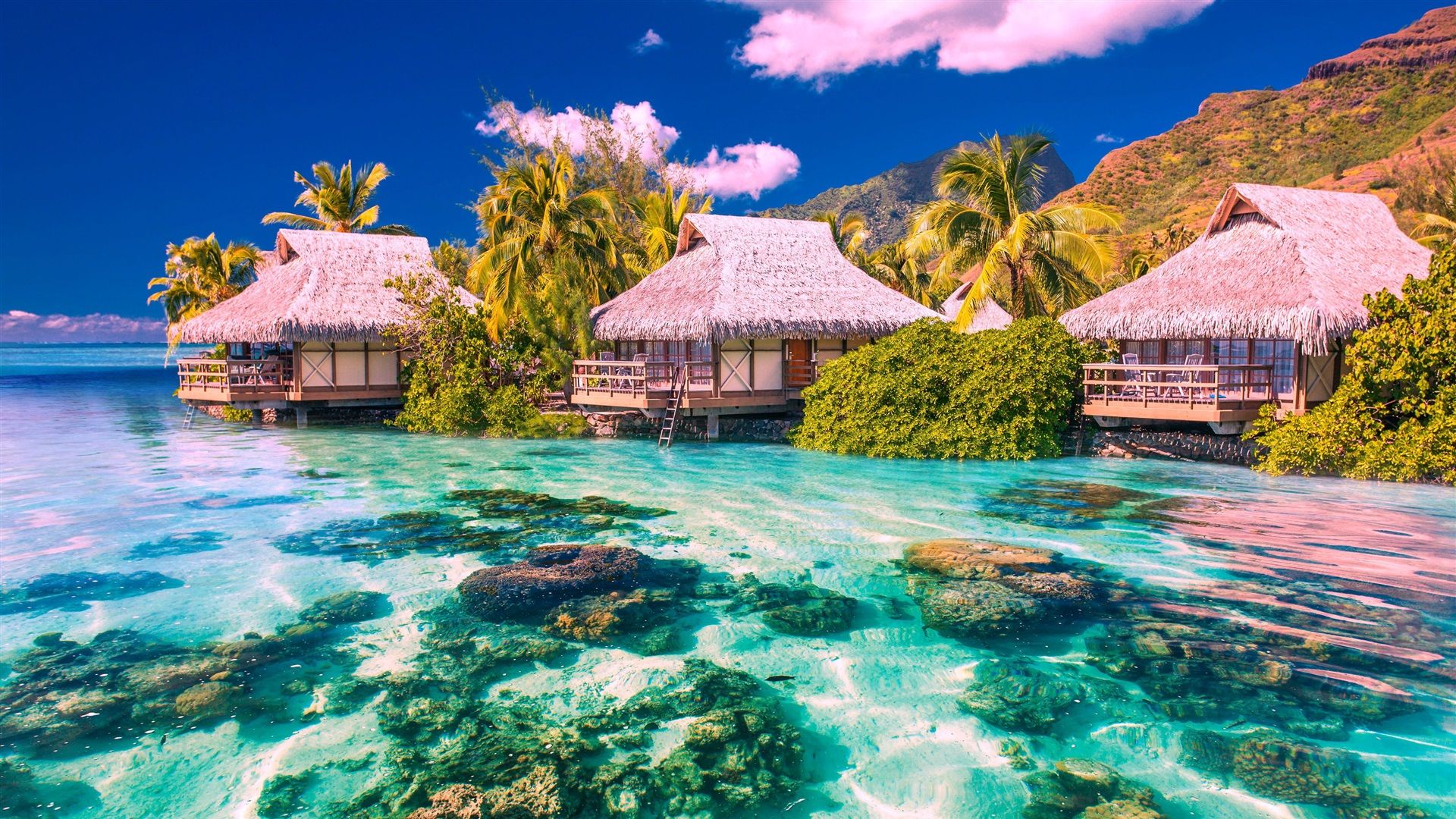 1920x1080 Wallpaper Tropical landscape, palm trees, houses, sea, beach, stones 3840x2160 UHD 4K Picture, Image