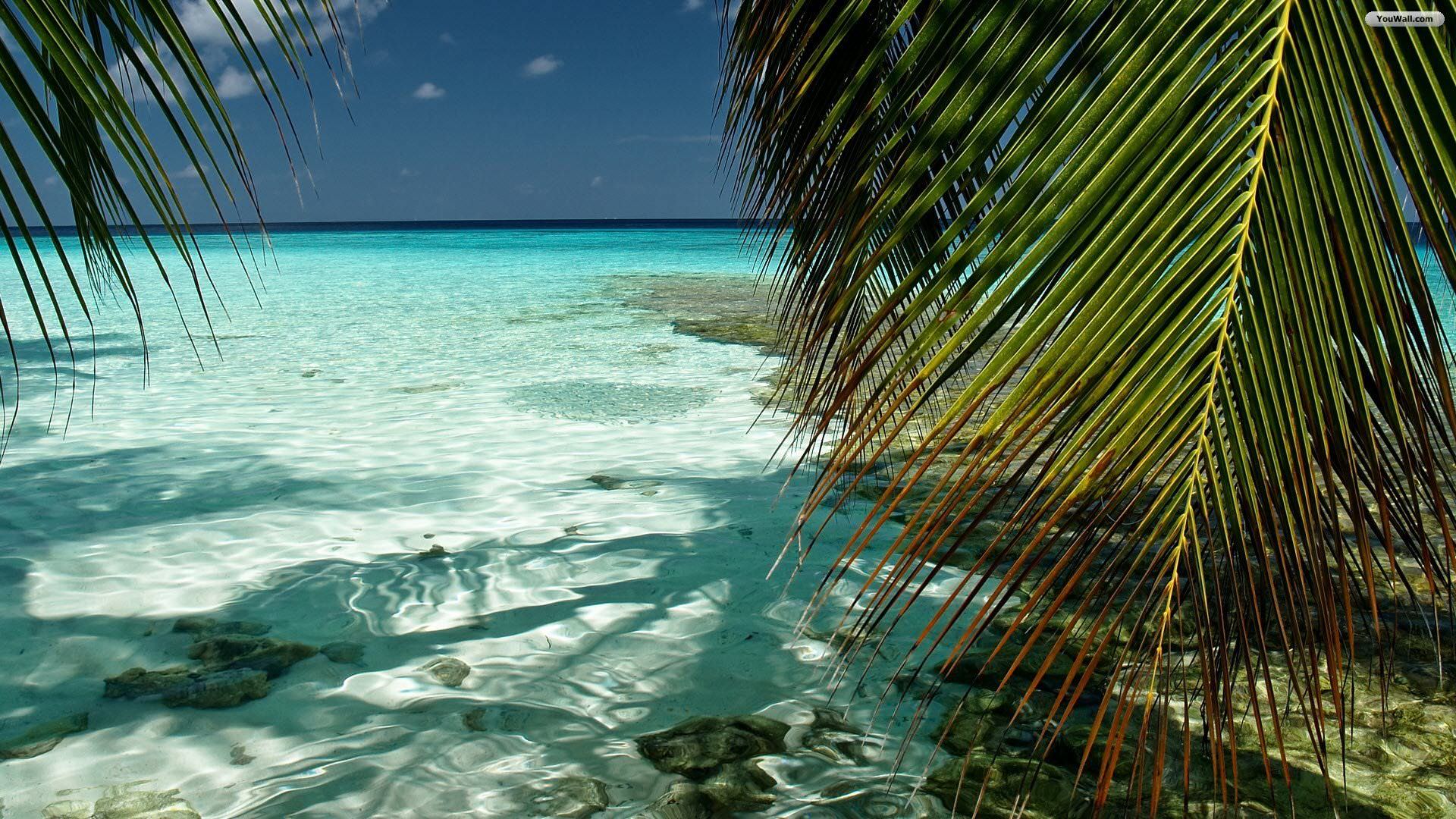 1920x1080 Tropical Beach HD Wallpaper 35757