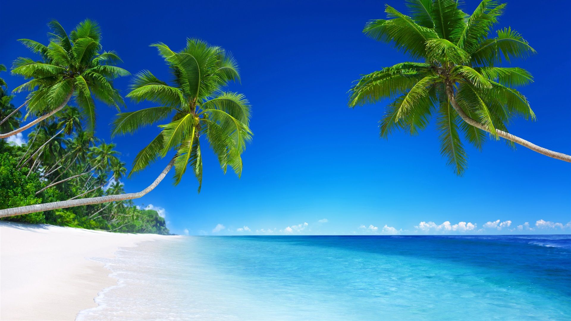1920x1080 Wallpaper Beautiful beach, tropical paradise, palm trees, blue sea 3840x2160 UHD 4K Picture, Image