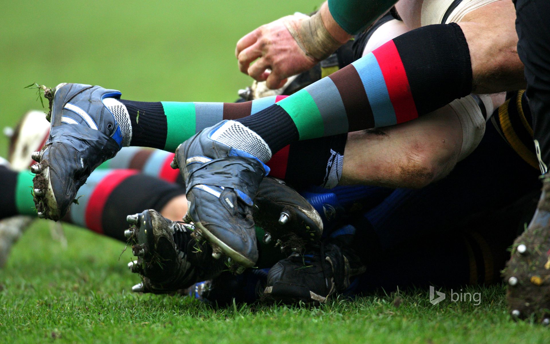 1920x1200 Rugby Union, Close Up Of A Scrum Tackle Wallpaper