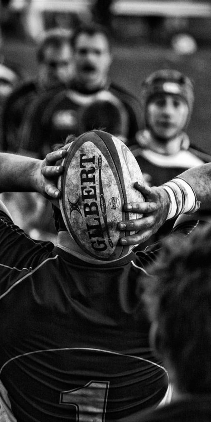 800x1600 HD Rugby wallpaper