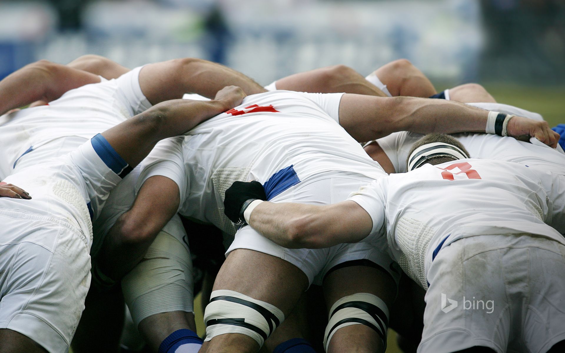 1920x1200 Rugby union players battle for the ball in a scrum Wallpaper