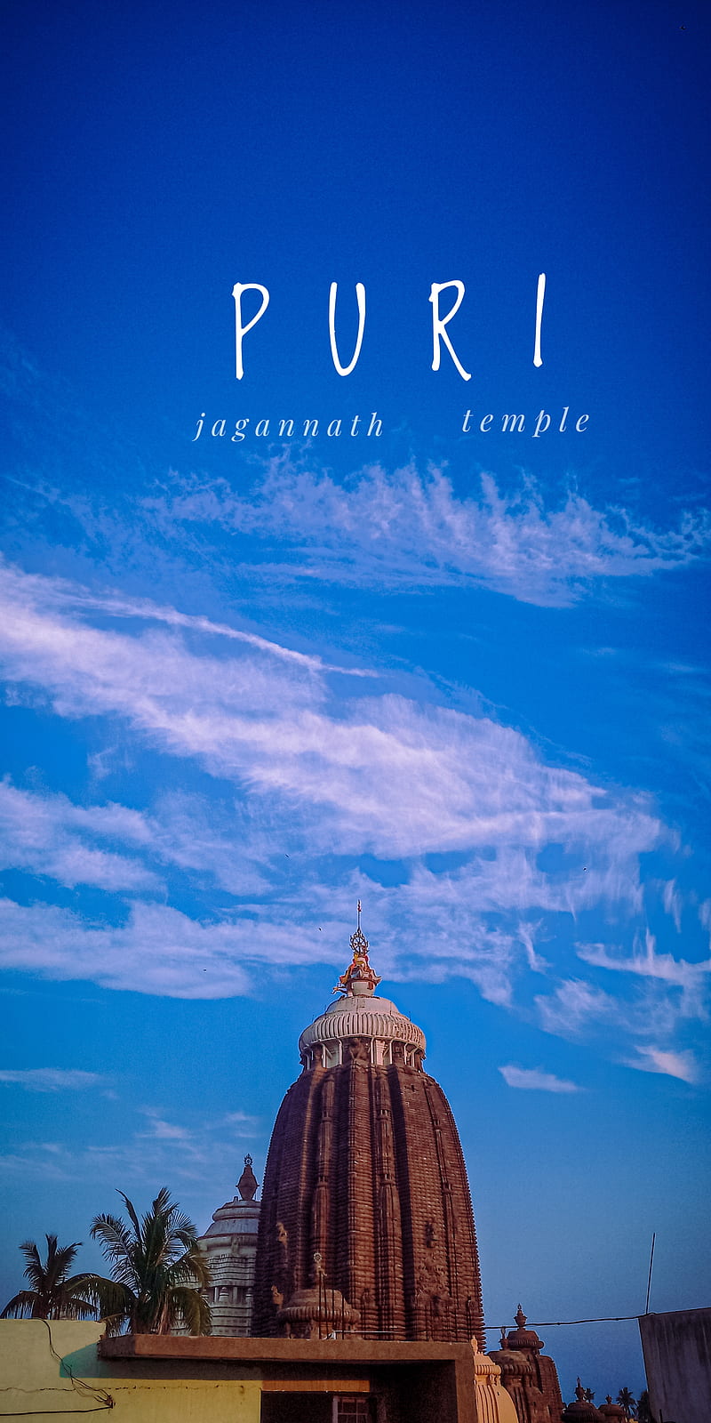 800x1600 Puri, jagannath, HD phone wallpaper