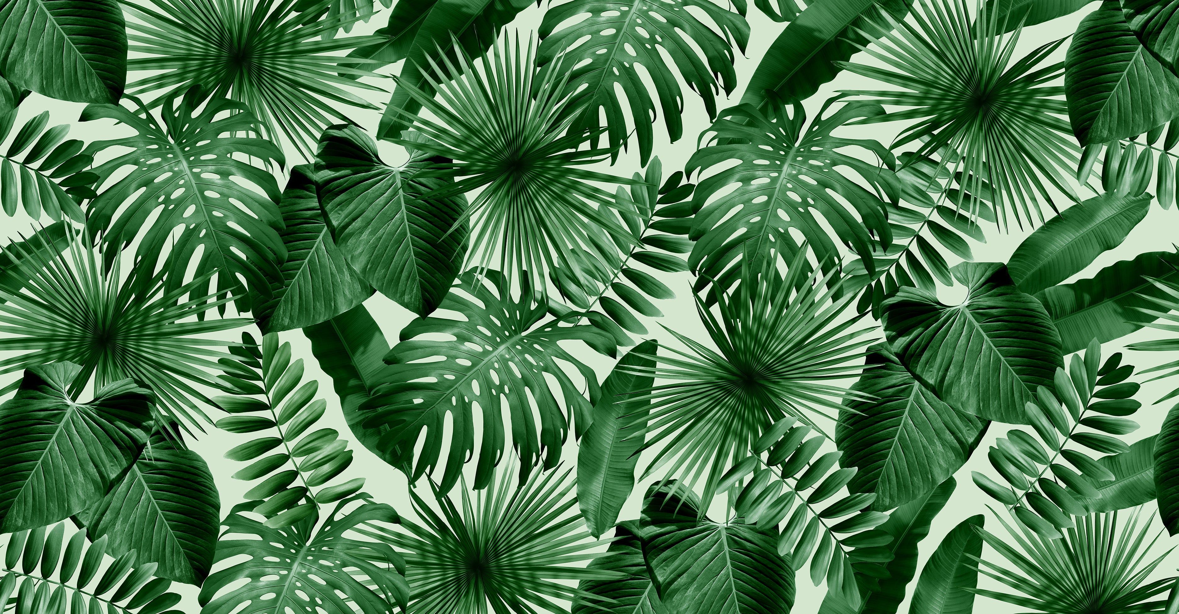 3750x1954 Wild Thing Eco Smooth Matte 1377 / Sample