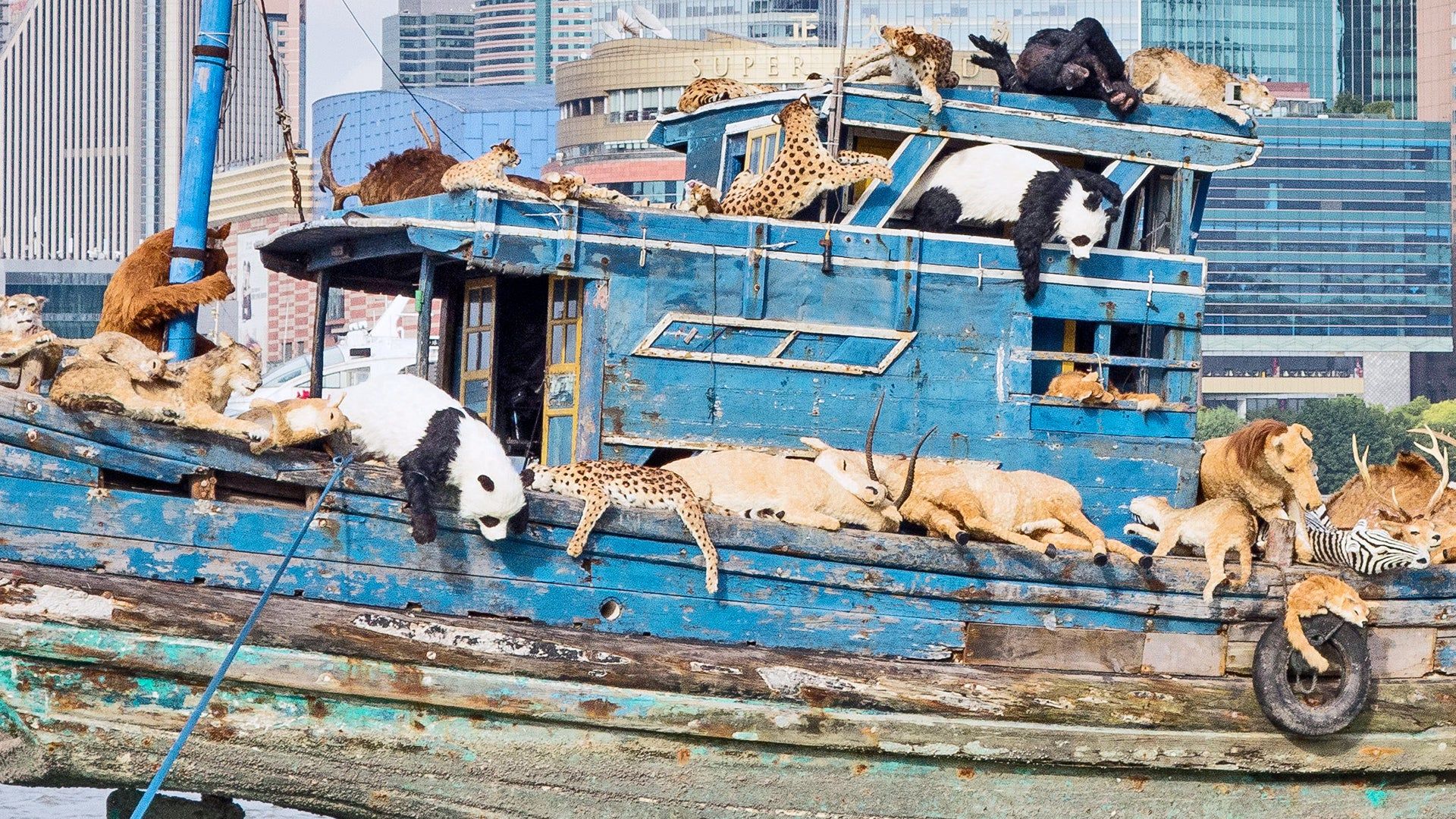 1920x1080 A Noah's Ark Of 99 Seasick Animals Highlights Humanity's Treatment of Nature