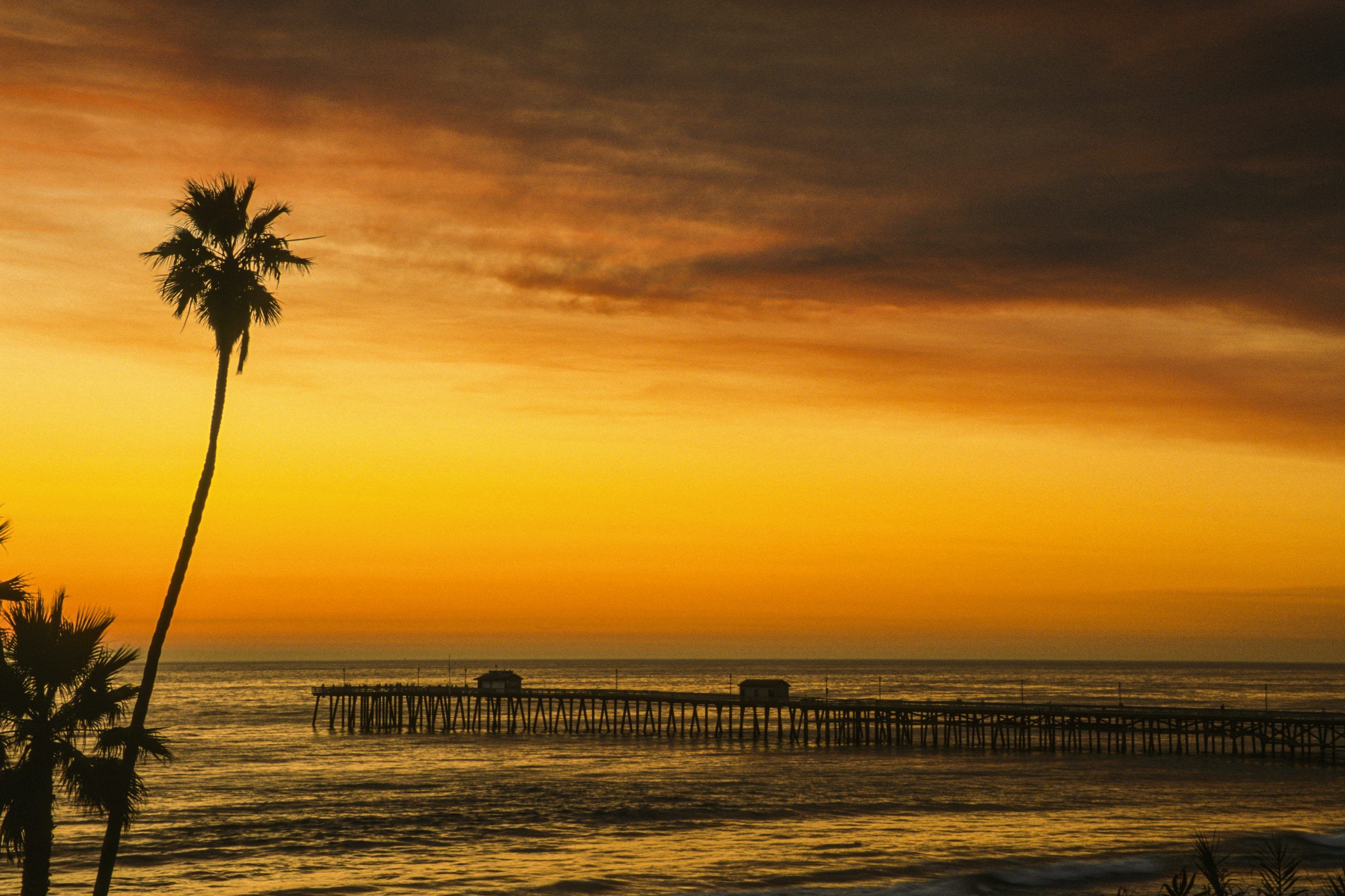 3000x2000 Palm tree near sea during sunset photo