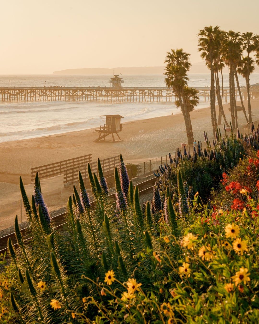 1080x1350 Photos I took in San Clemente