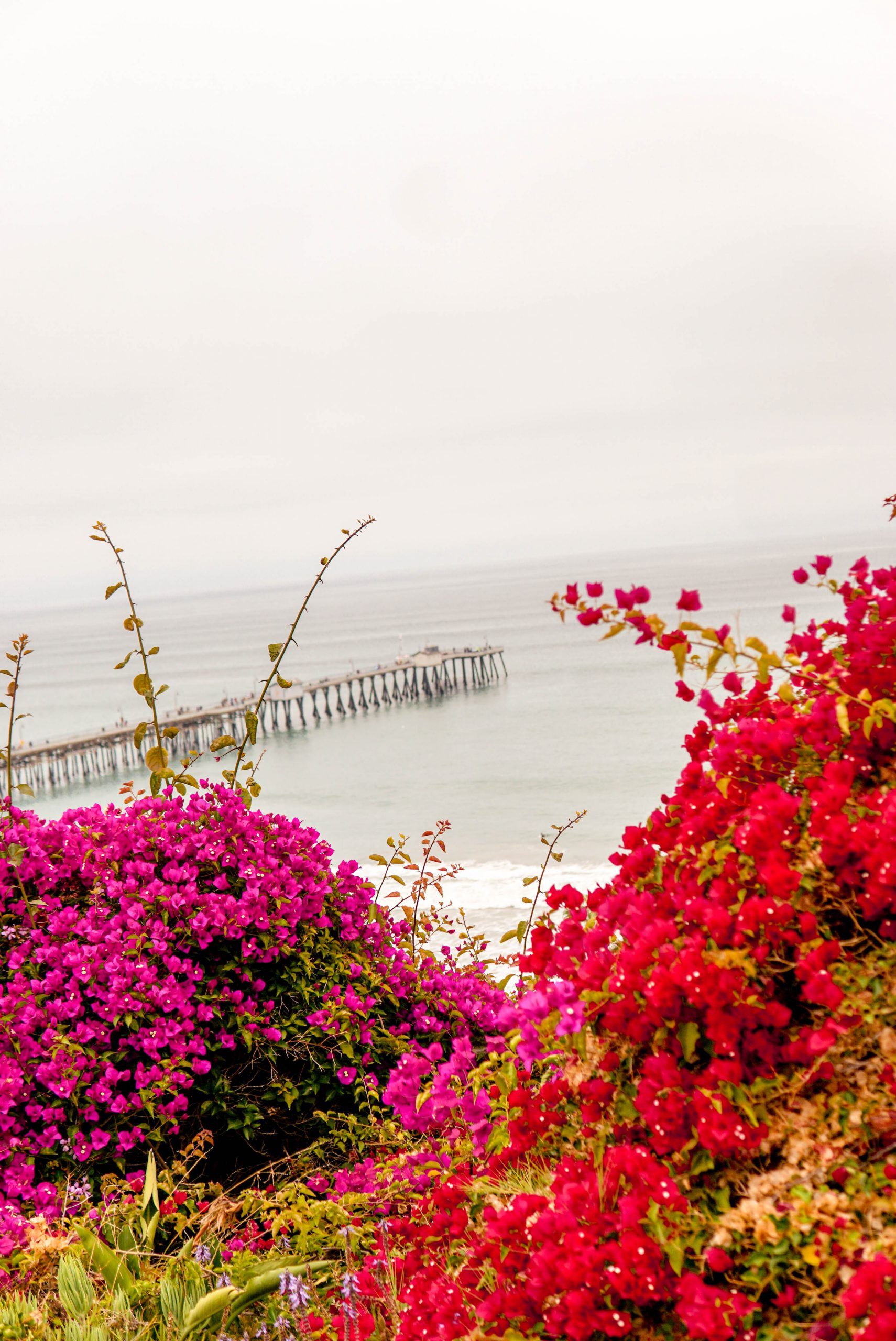 1710x2560 Best Things to Do in San Clemente, California