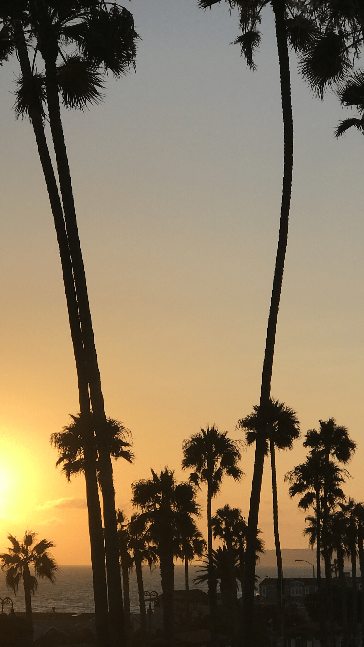 1242x2208 San Clemente Wallpaper