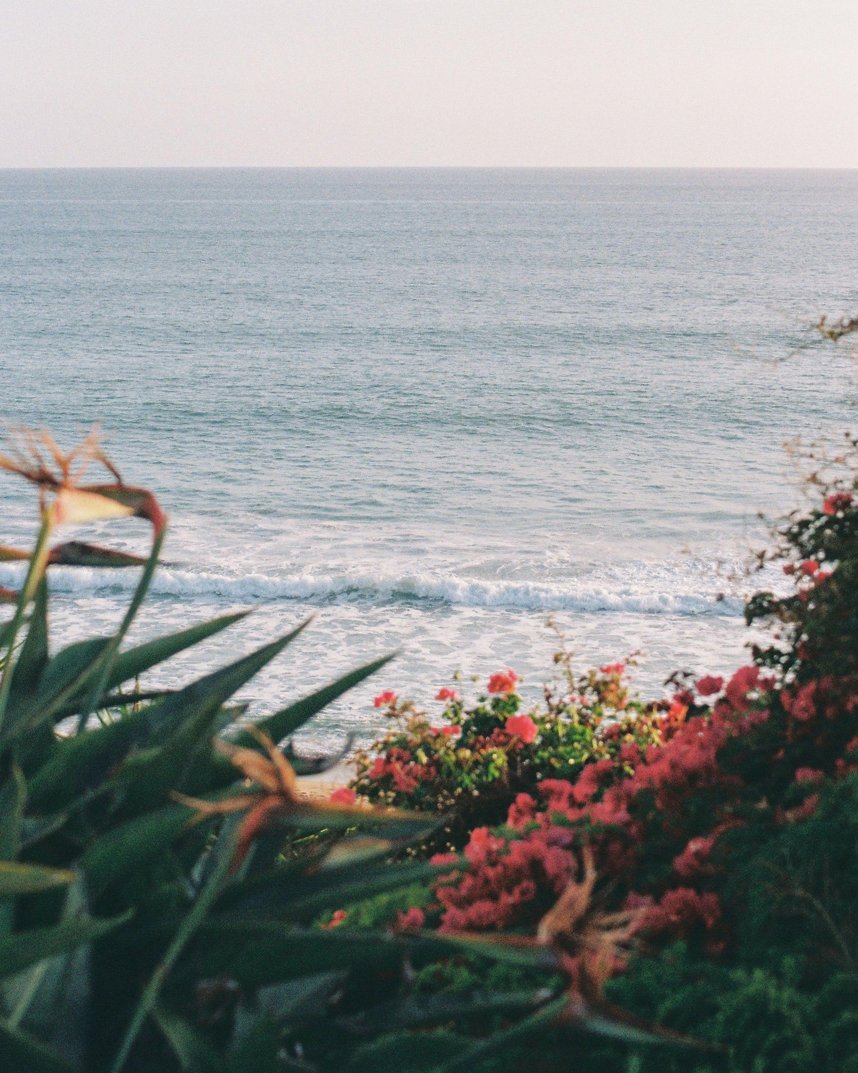 3000x3750 Photos I took in San Clemente