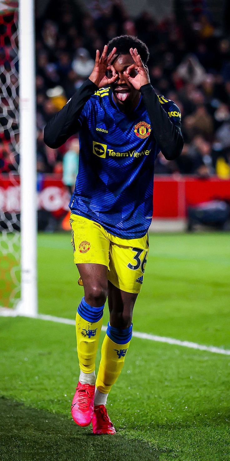 736x1472 Elanga Wallpaper