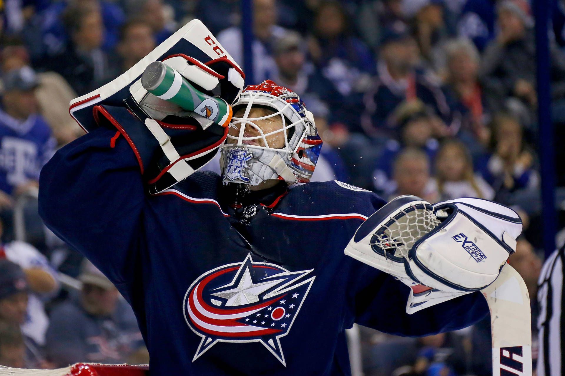 1920x1280 Download Sergei Bobrovsky's Top Goalie Awardee Wallpaper