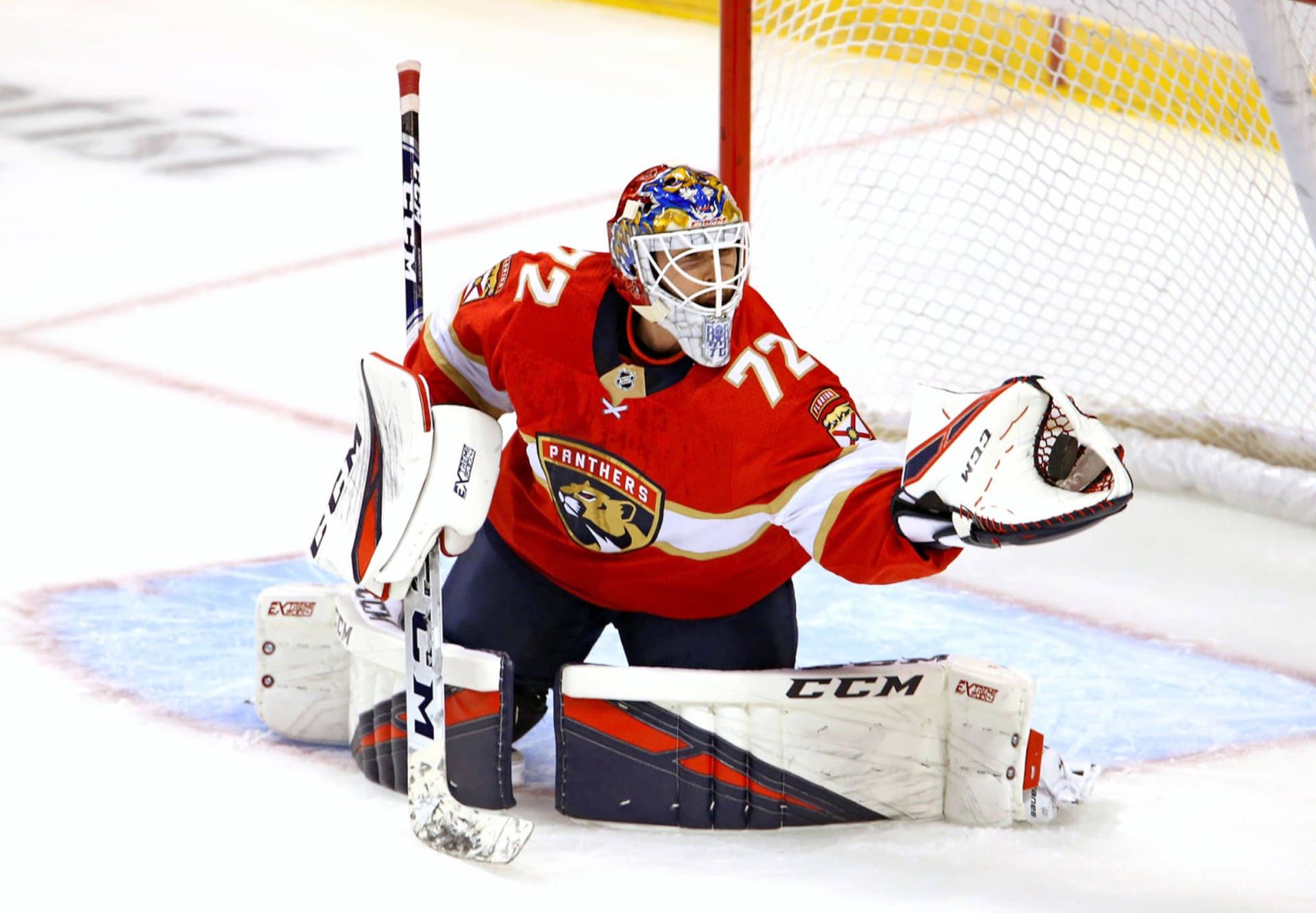 1920x1332 Download Russian 3rd Best Goalie Sergei Bobrovsky Wallpaper