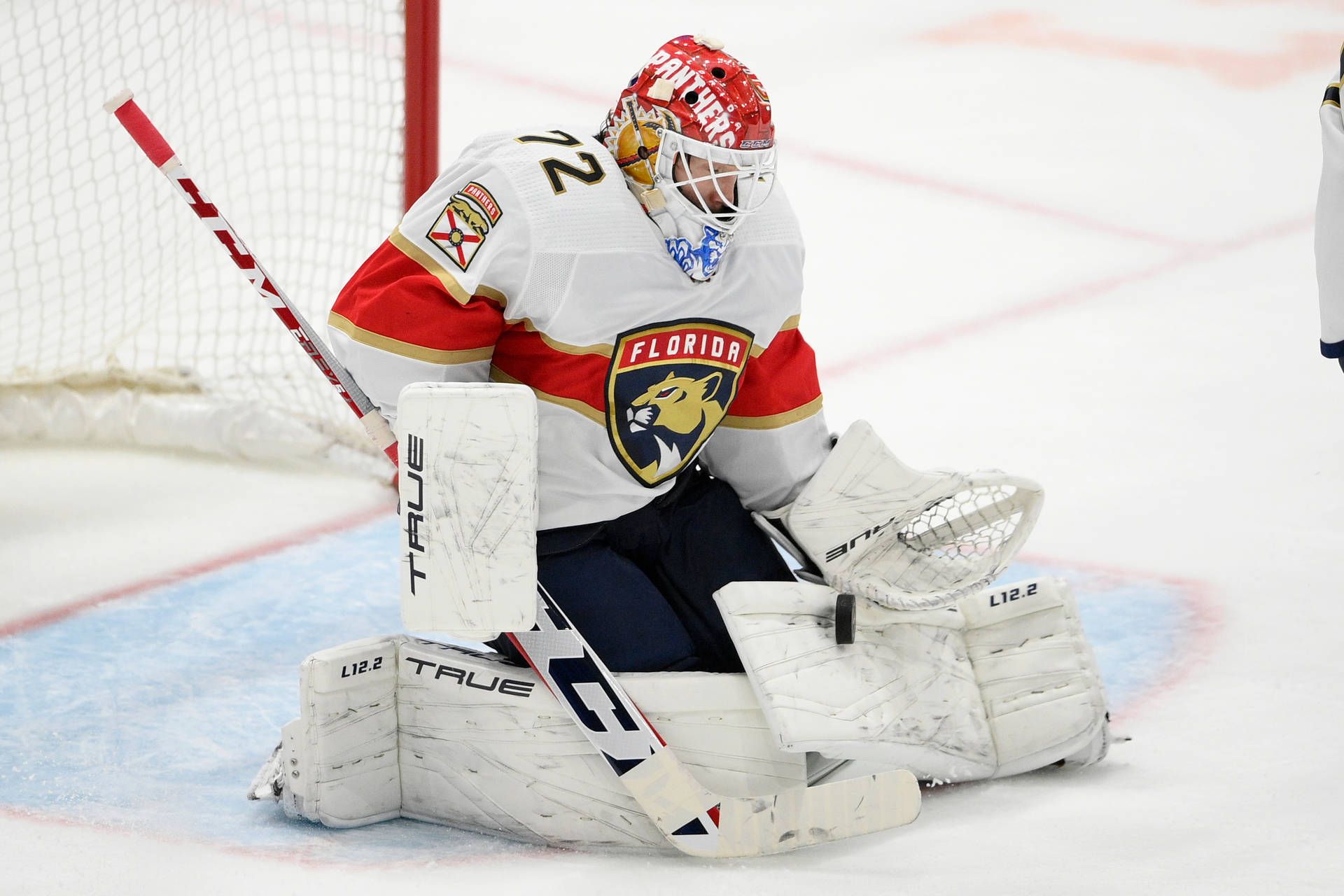 1920x1280 Download Sergei Bobrovsky Professional Ice Hockey Wallpaper