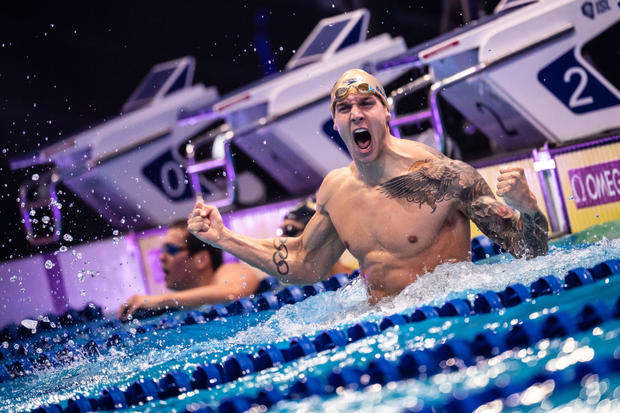 2048x1366 Ultra Swim Swimmer of the Month: Caeleb Dressel, Cali Condors