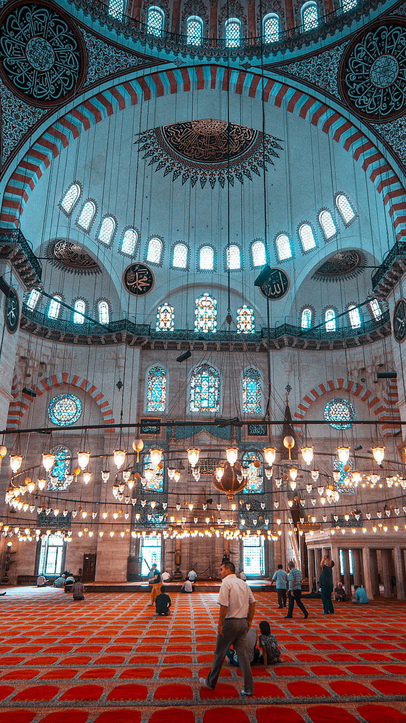 800x1422 Mosque, building, istanbul, light, ramazan, turkey, HD phone wallpaper