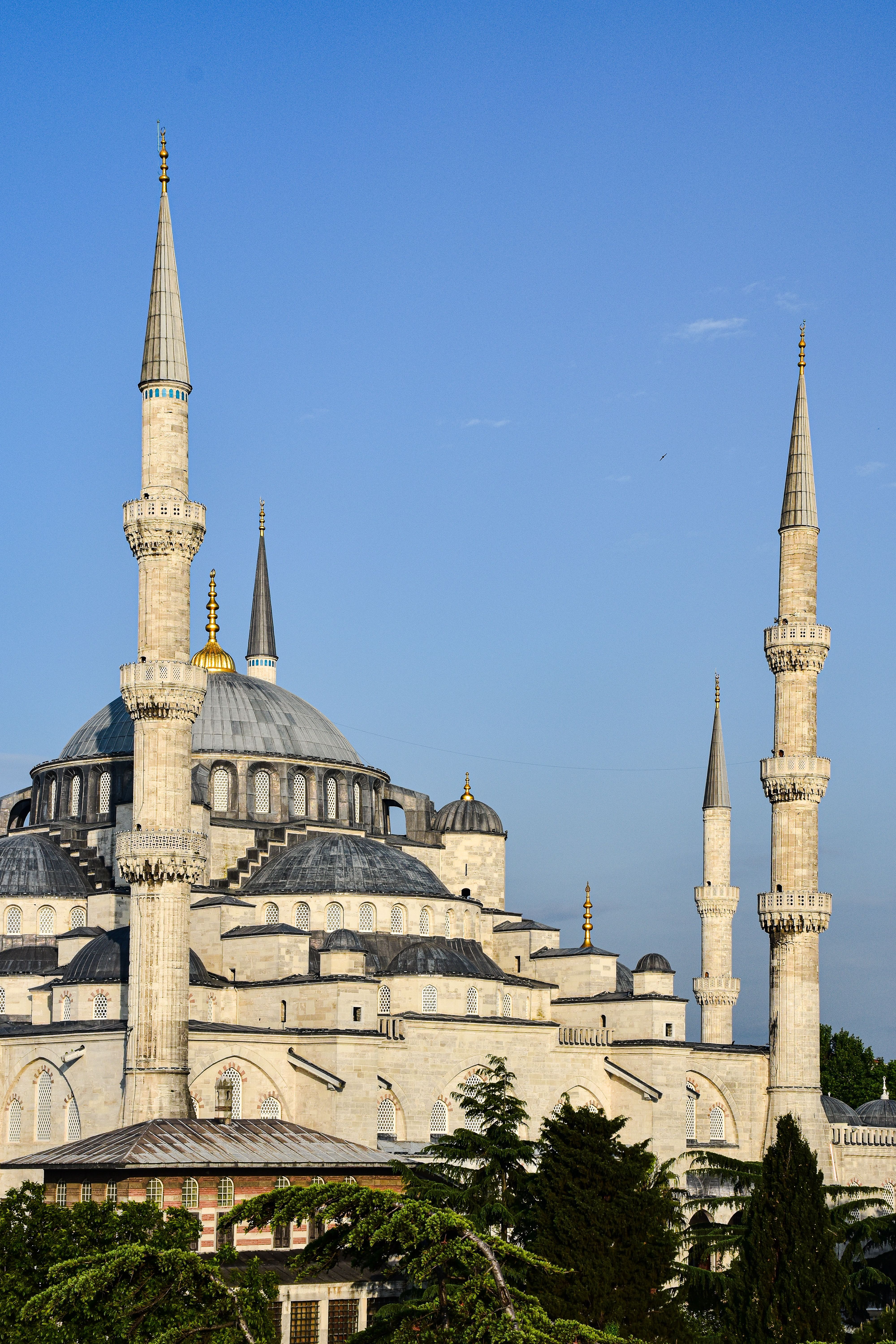 4000x6000 The blue mosque in istanbul, turkey · Free
