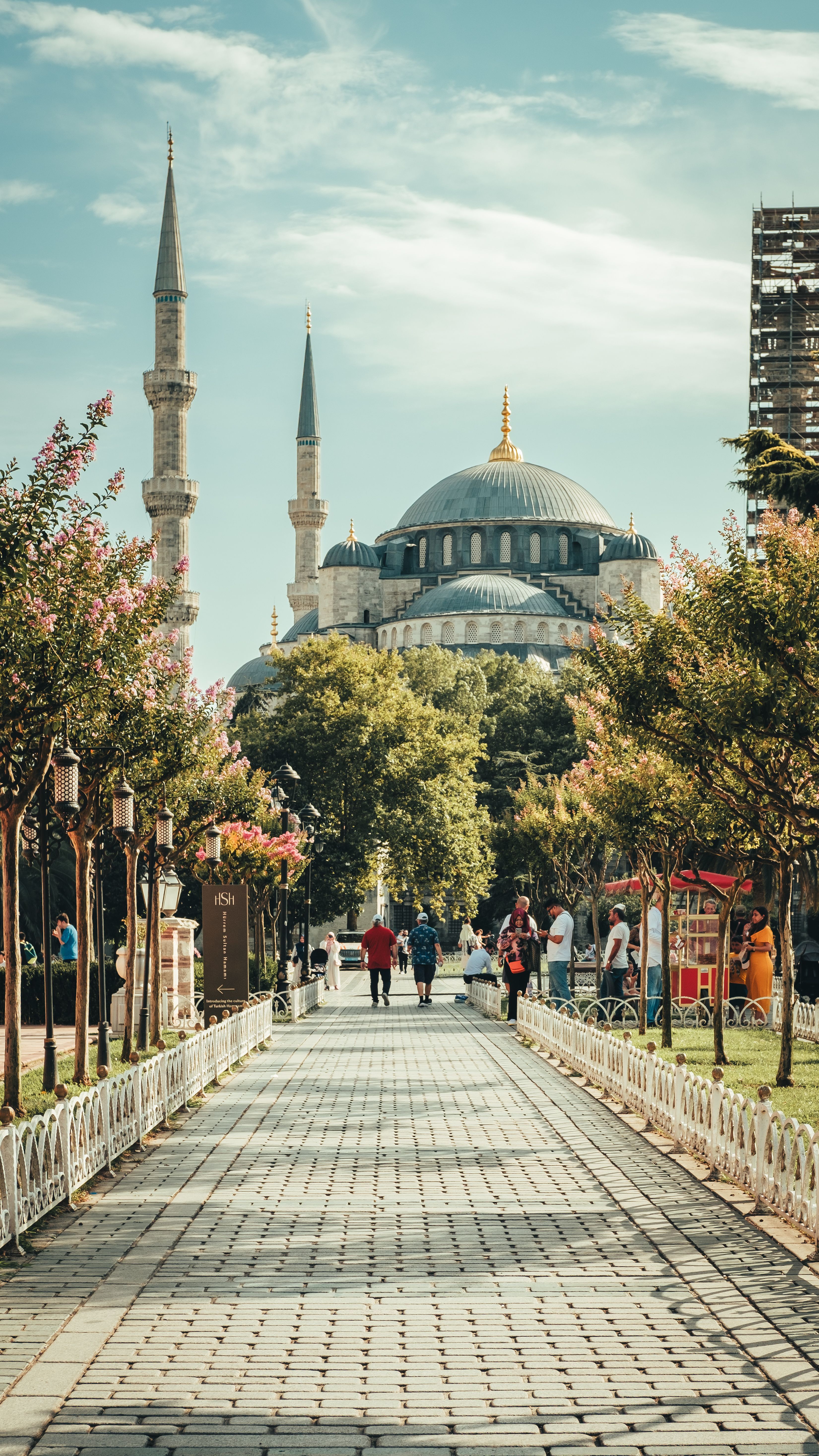 3301x5868 The blue mosque in istanbul, turkey · Free