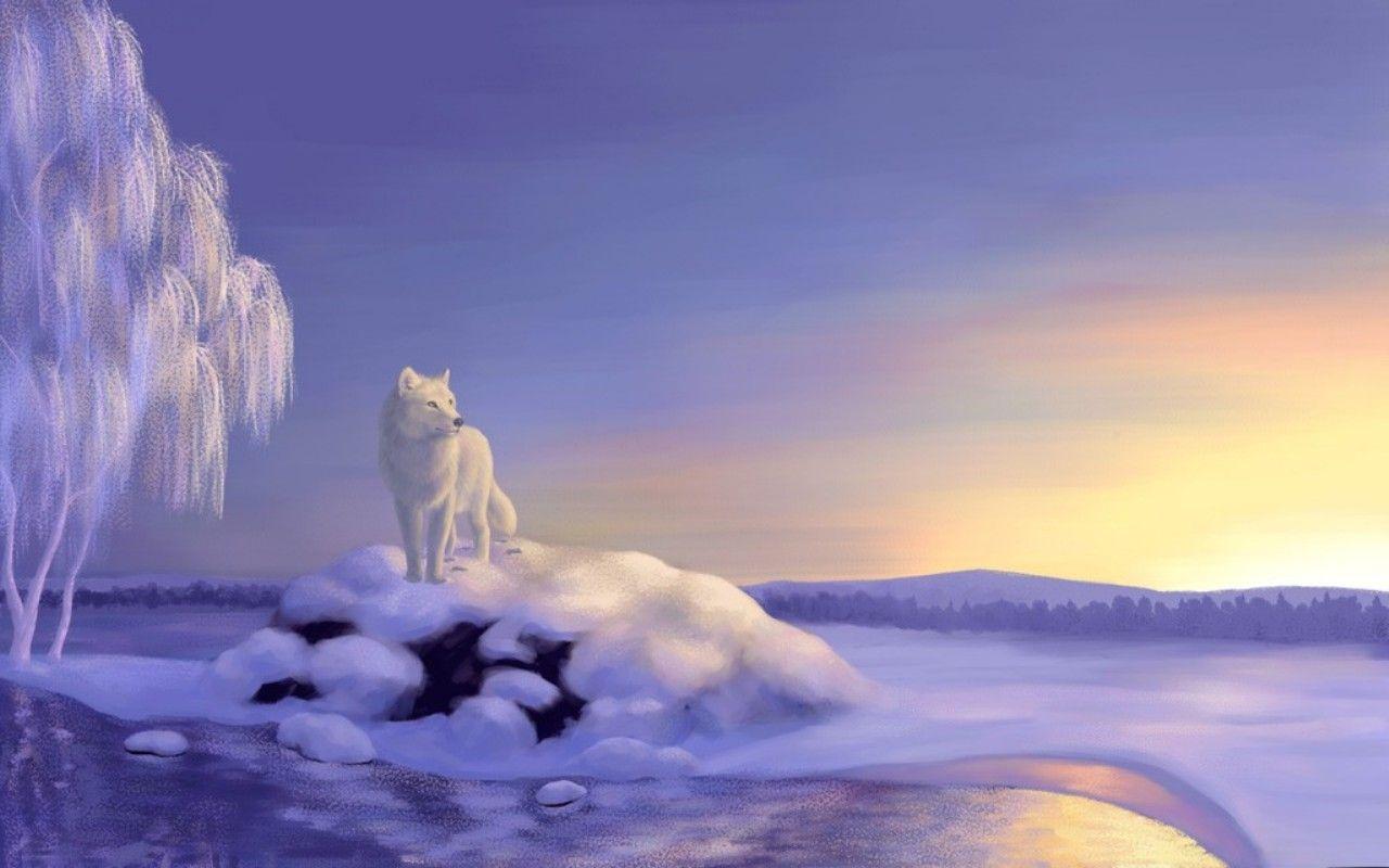 1280x800 twinklestar11 image WINTER WOLF HD wallpaper and background photo
