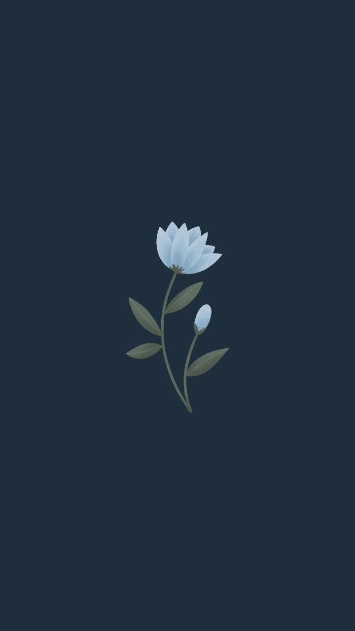 720x1280 Graphic design cute wallpaper