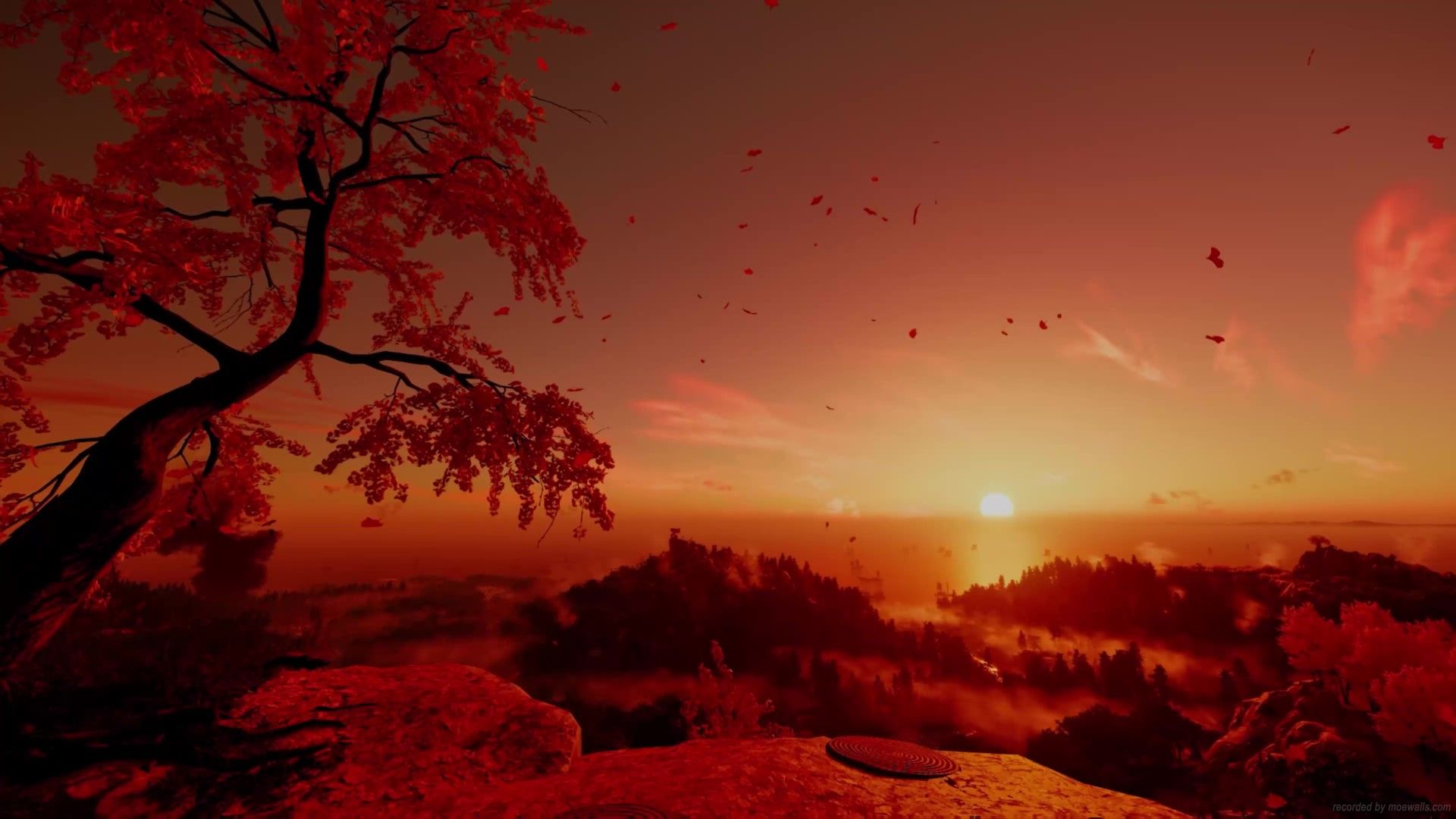 1920x1080 Sunset Sky Ghost Of Tsushima Live Wallpaper