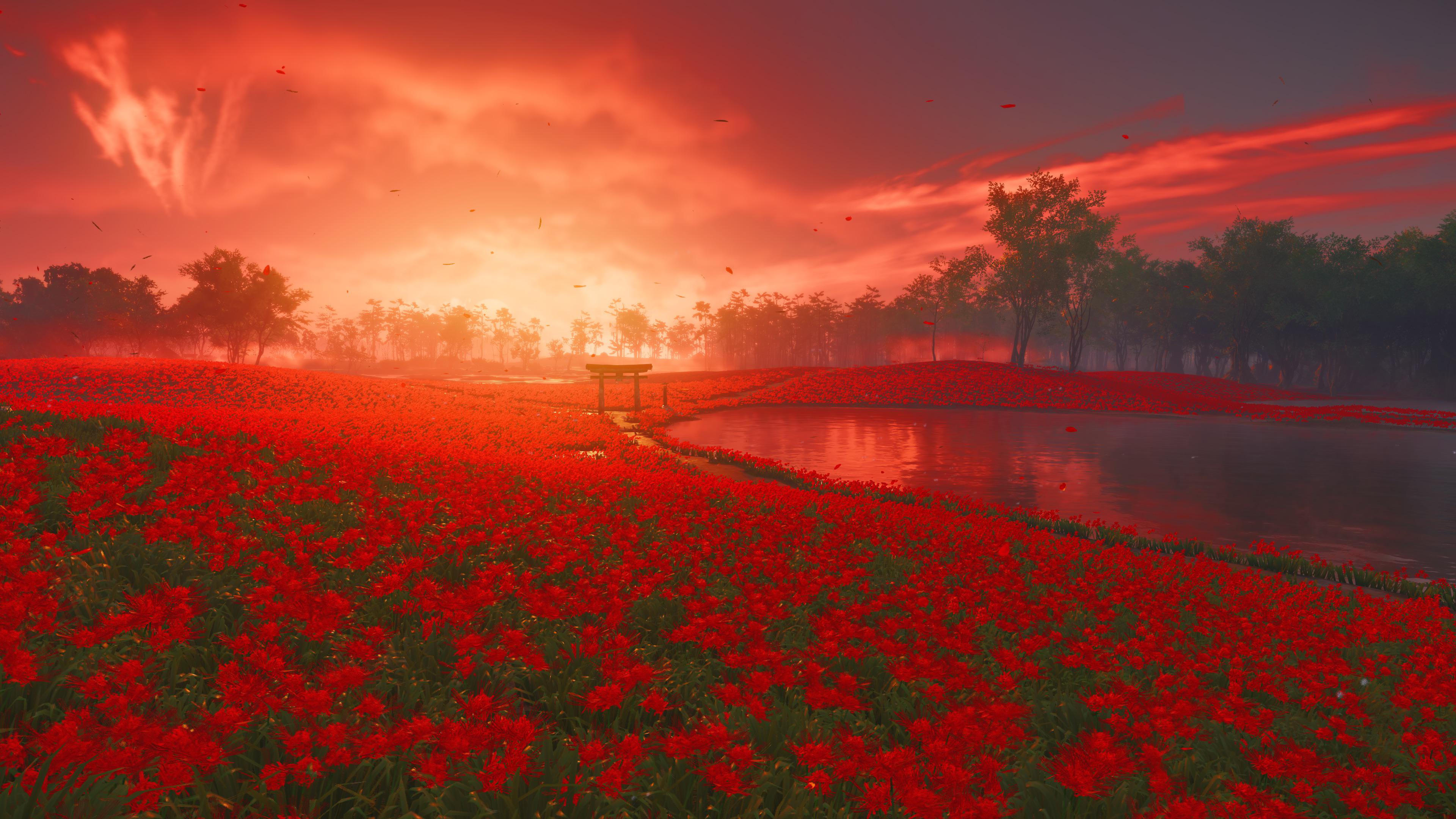 3840x2160 Ghost of Tsushima is still the most beautiful open world game I've ever played, what a gorgeous game