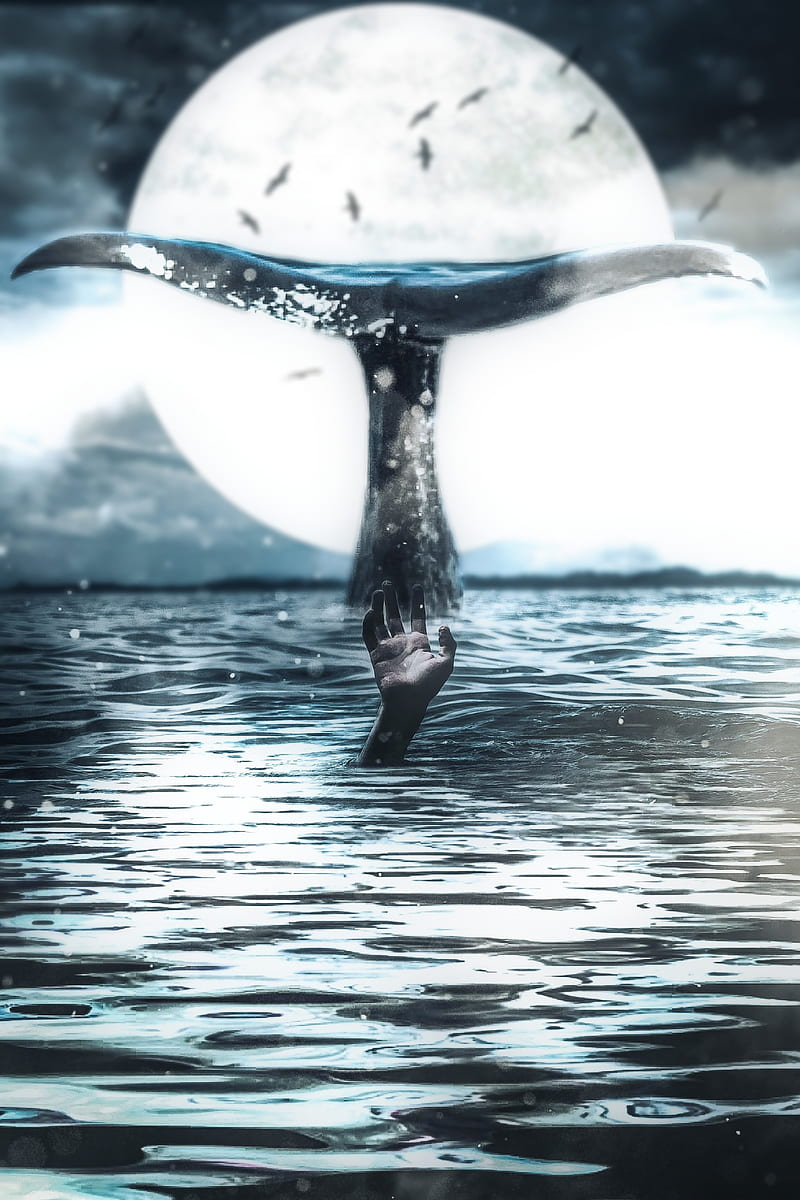 800x1200 The whale and the drow, animal, danger, drowned, drowning, full moon, moon, ocean, HD phone wallpaper