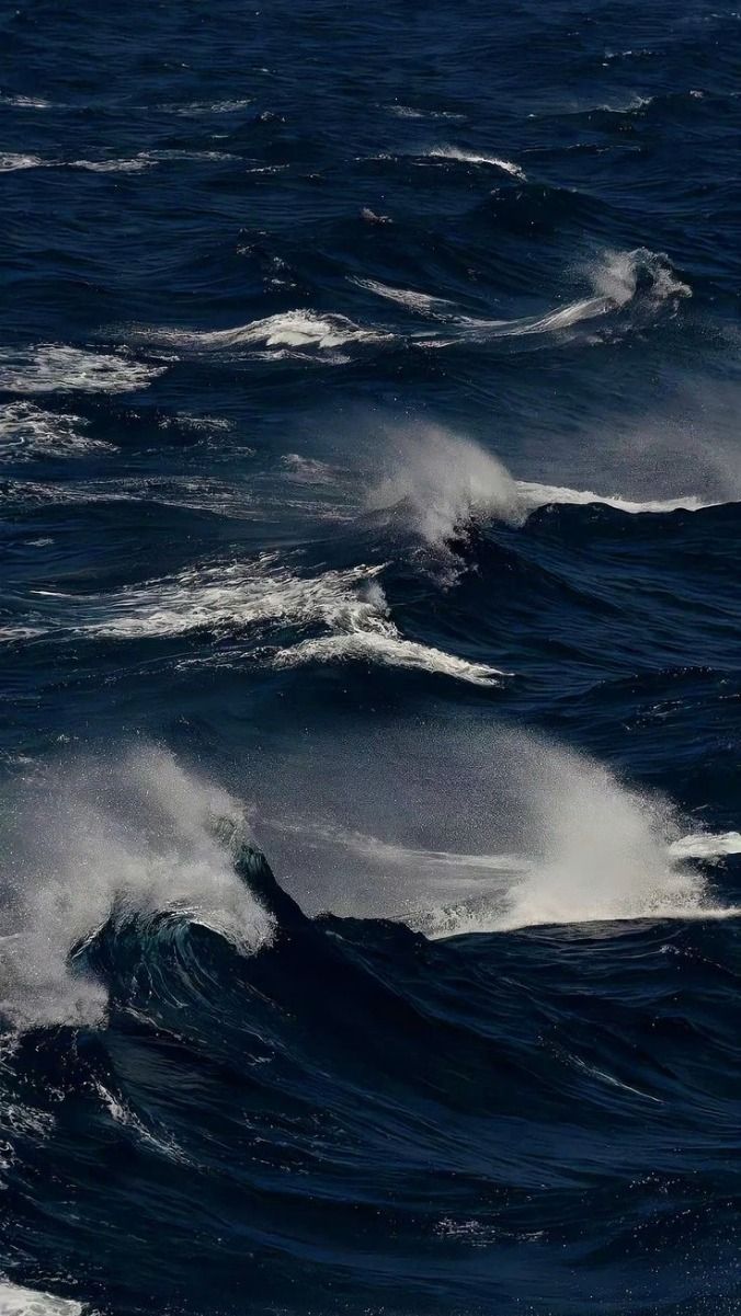 676x1201 Bold and Dangerous: 40 Hilarious Photo of People Going For It