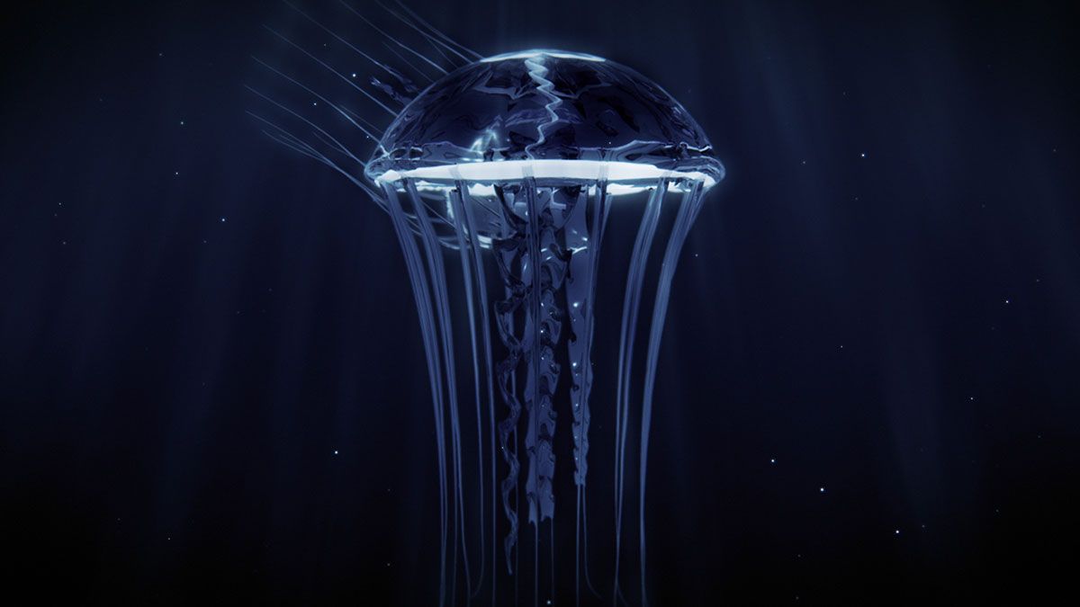 1200x675 The Most Dangerous Sea Creatures