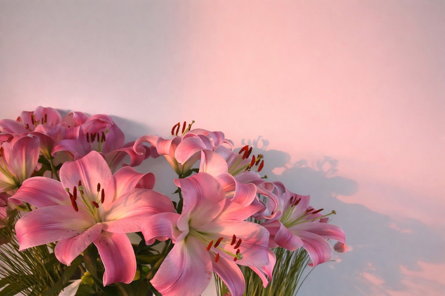 1536x1024 Macbook 13 Inch Wallpaper